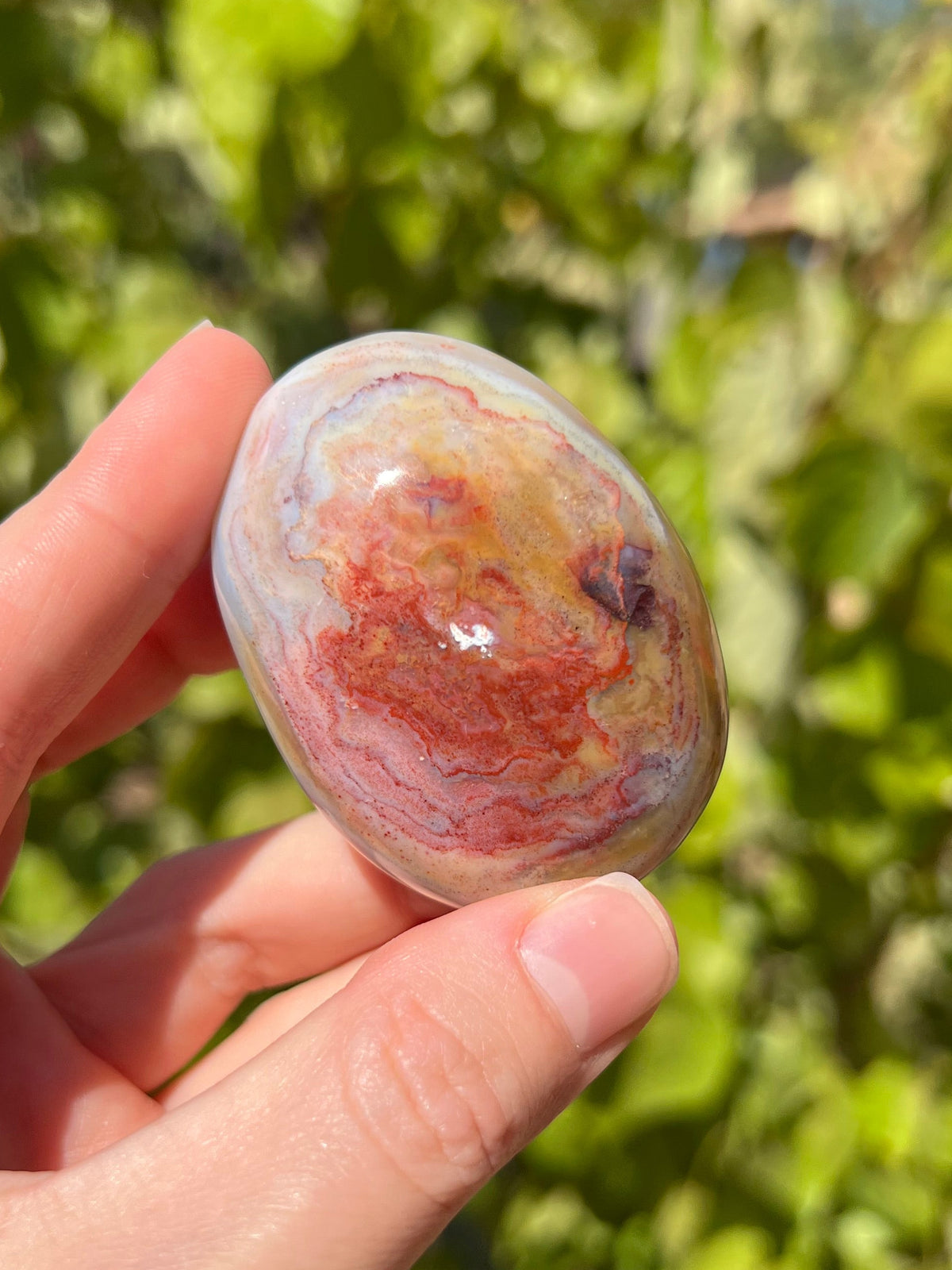 Sea Jasper Palm Stones