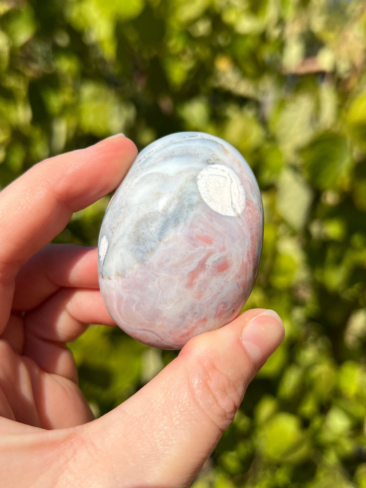 Sea Jasper Palm Stones