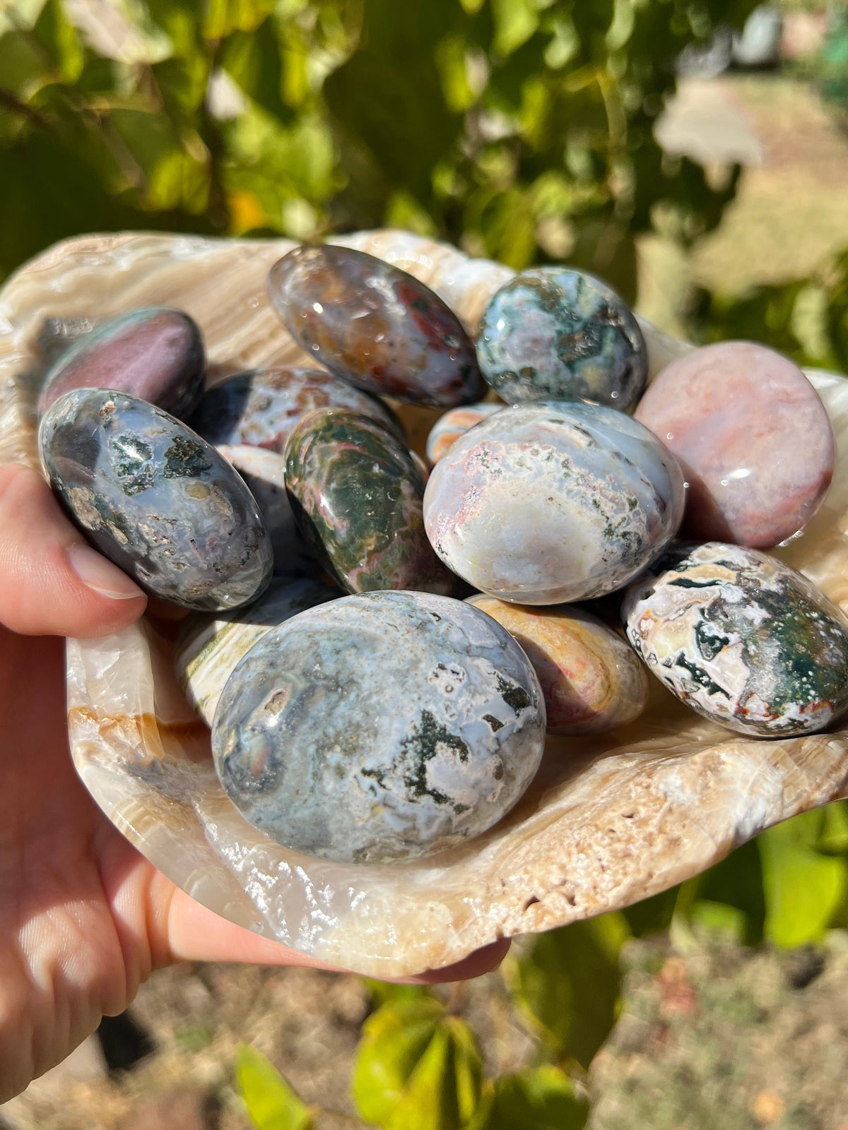 Ocean Jasper Palm Stones