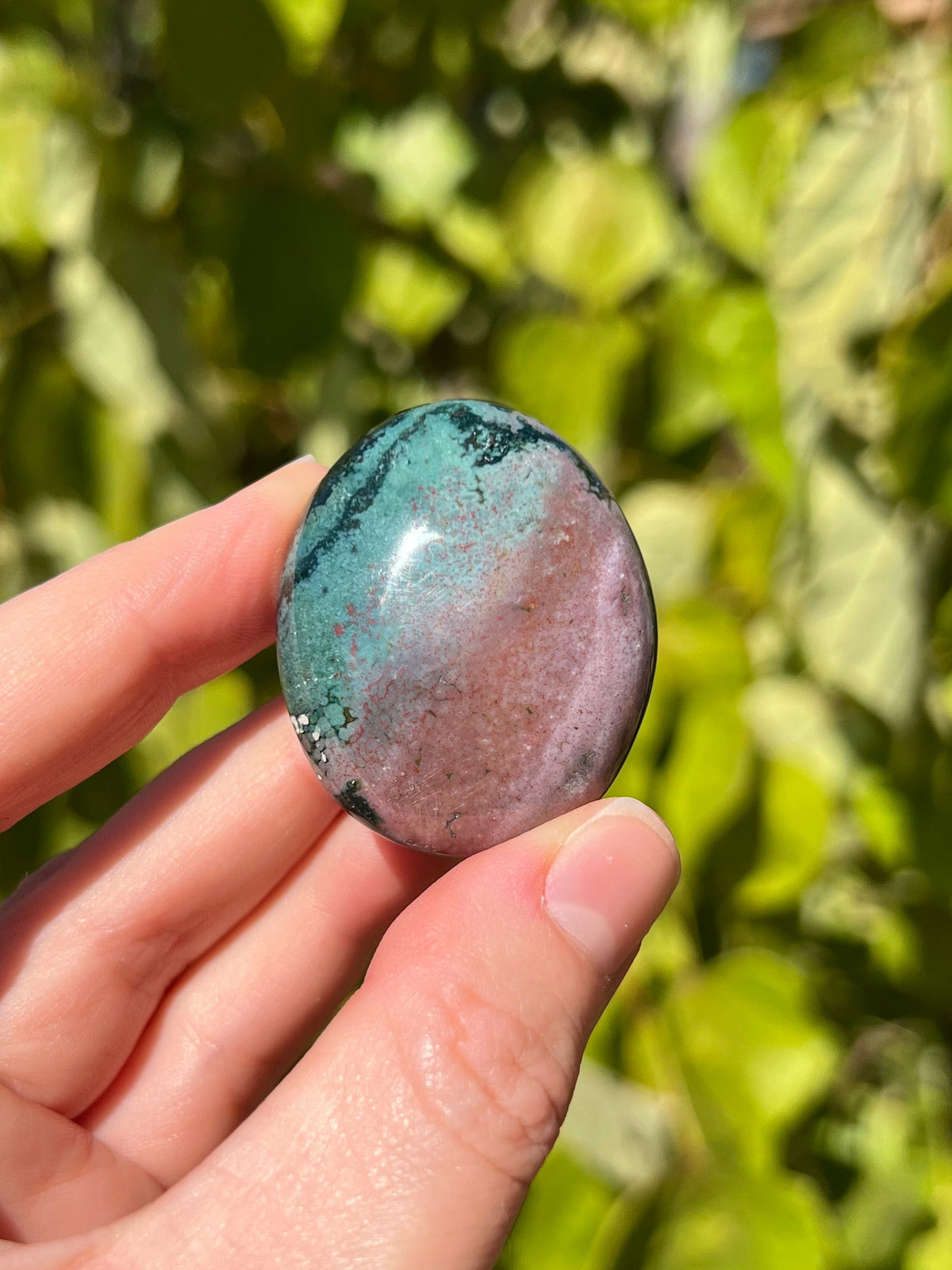 Ocean Jasper Palm Stones