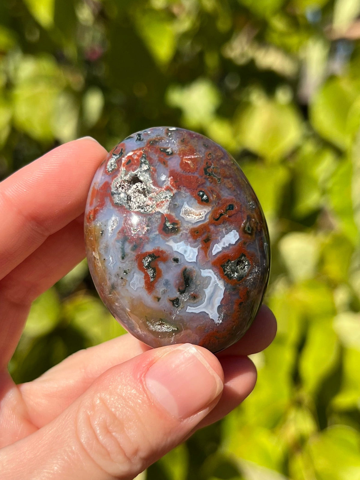 Ocean Jasper Palm Stones