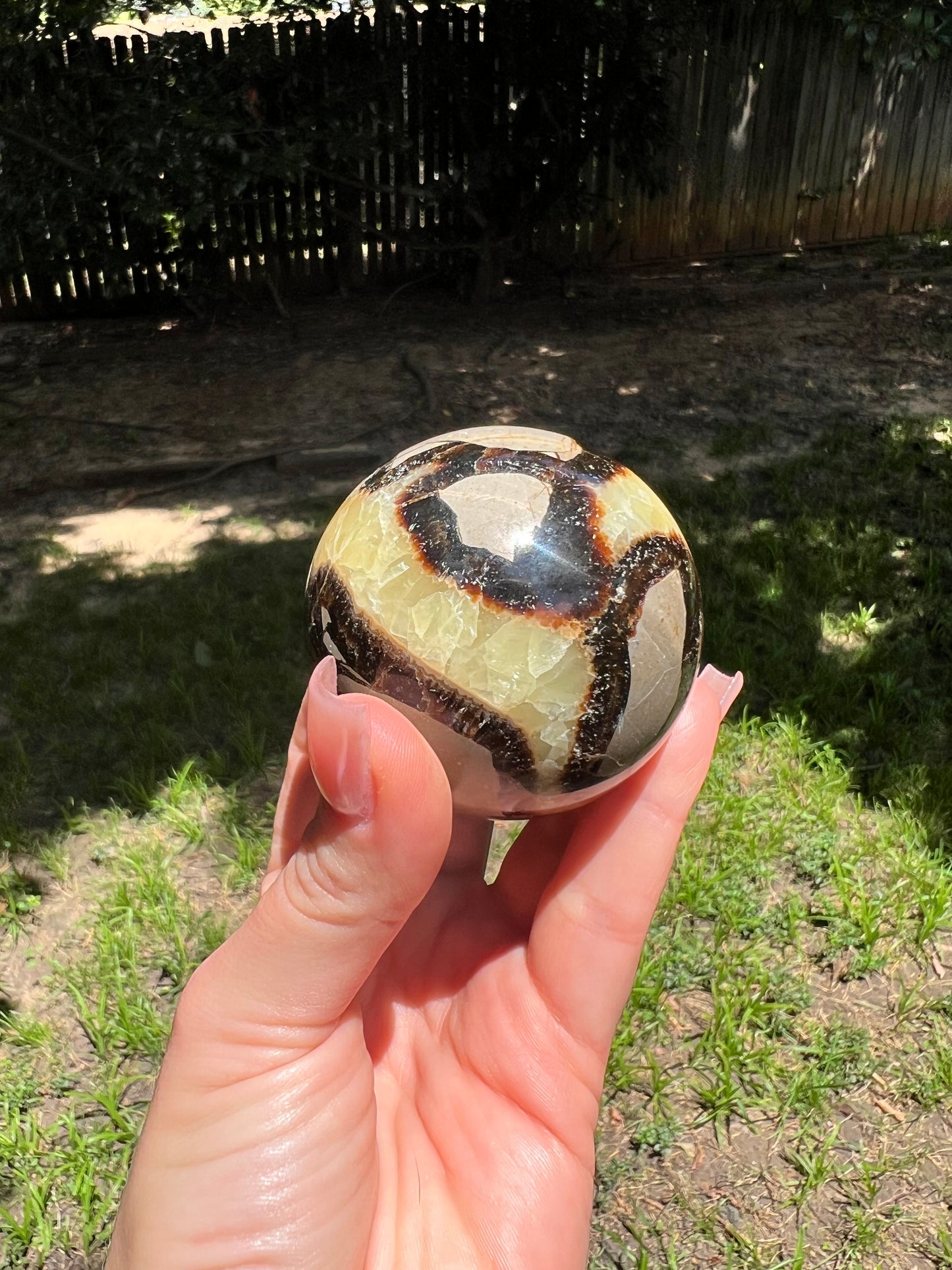 Septarian Sphere