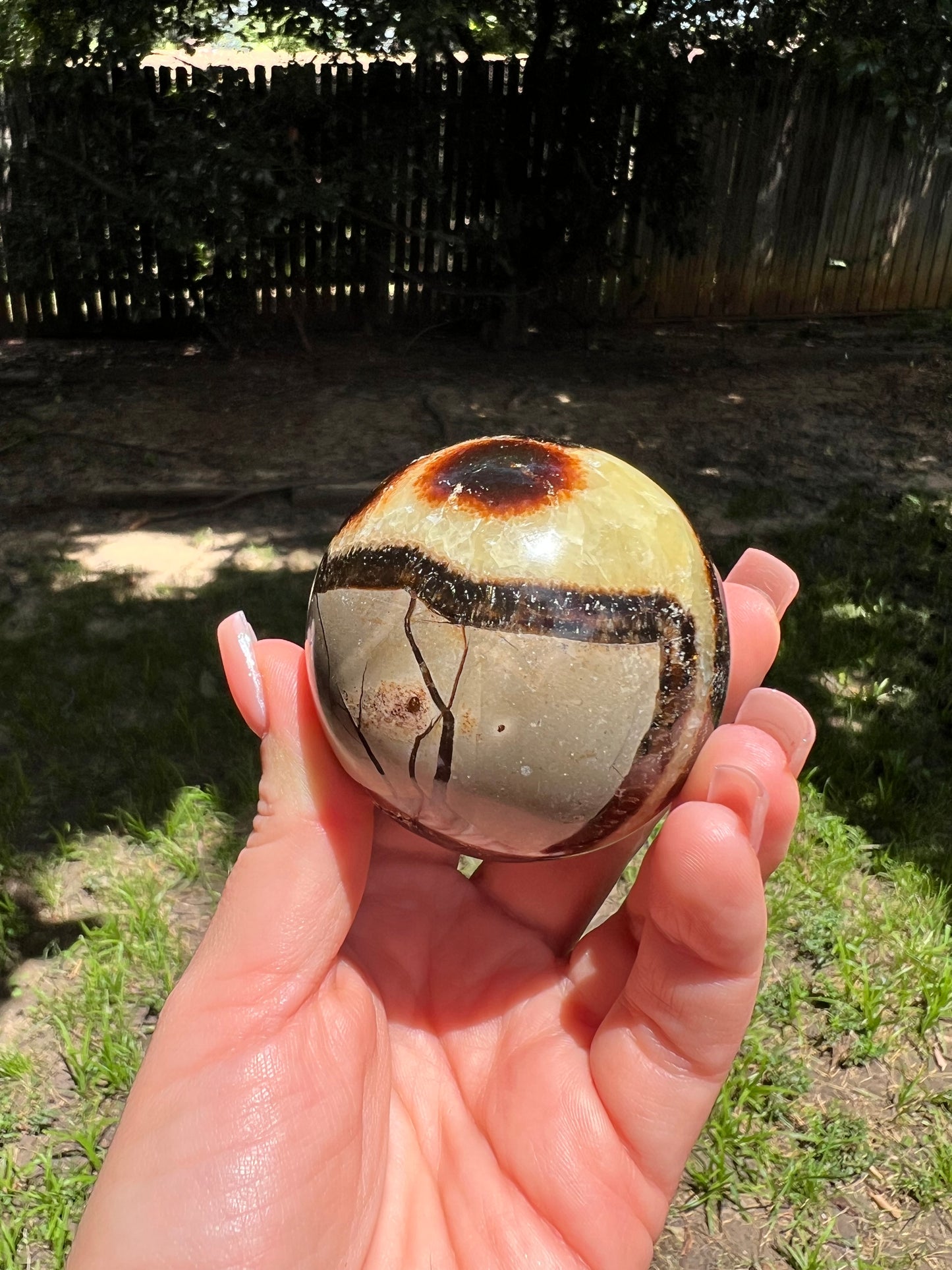 Septarian Sphere