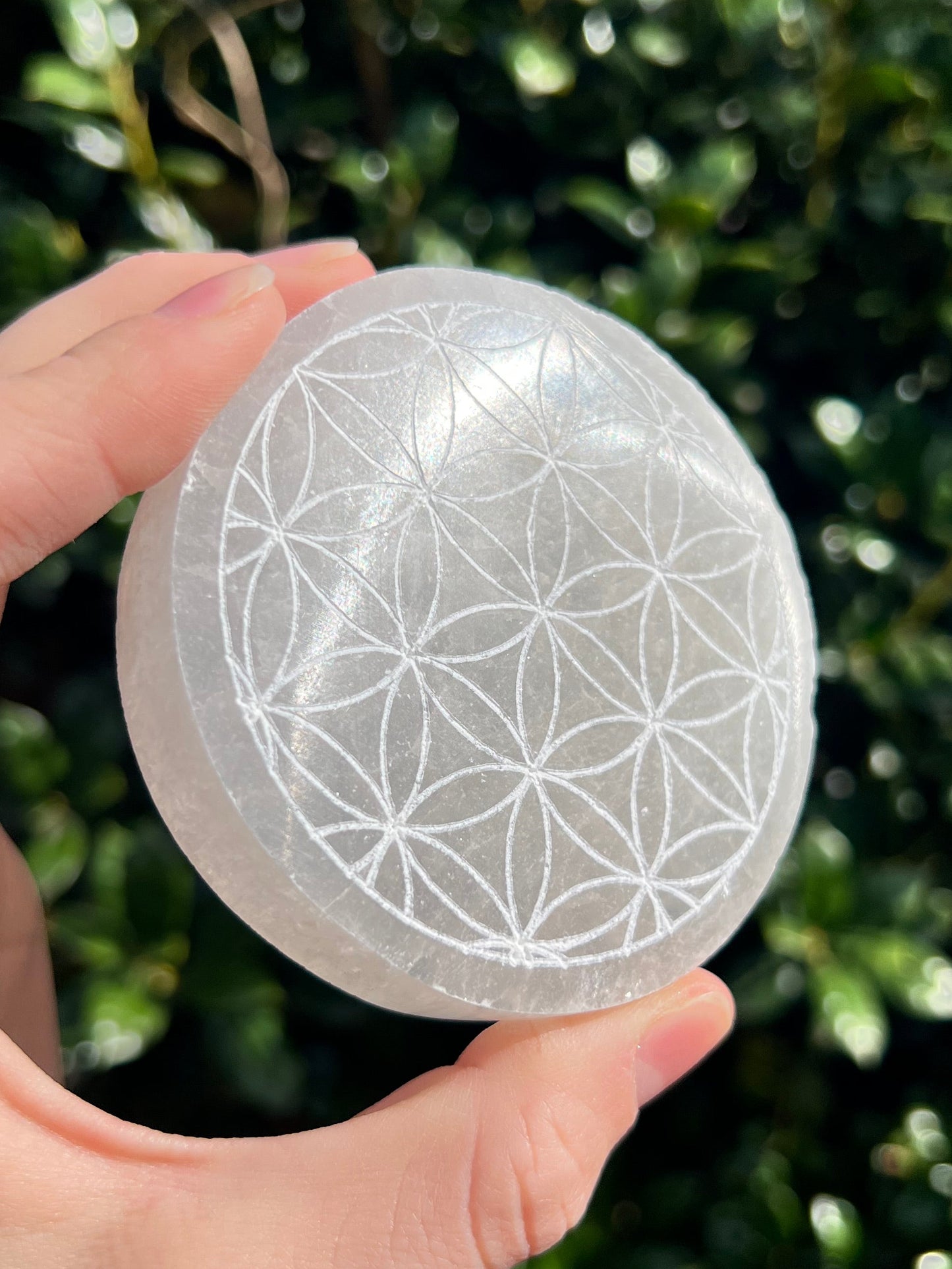 Selenite Flower of Life Charging Plates