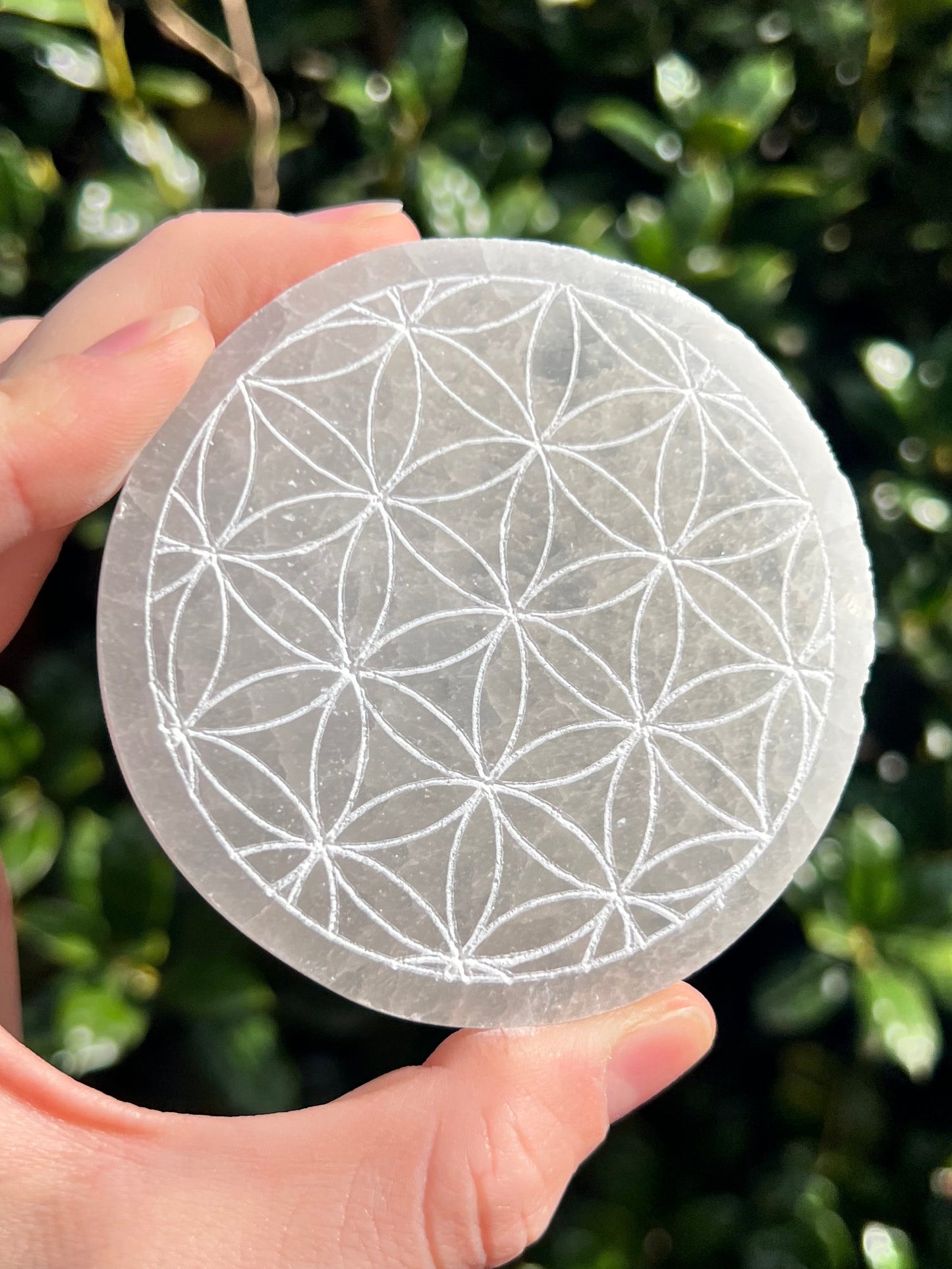 Selenite Flower of Life Charging Plates
