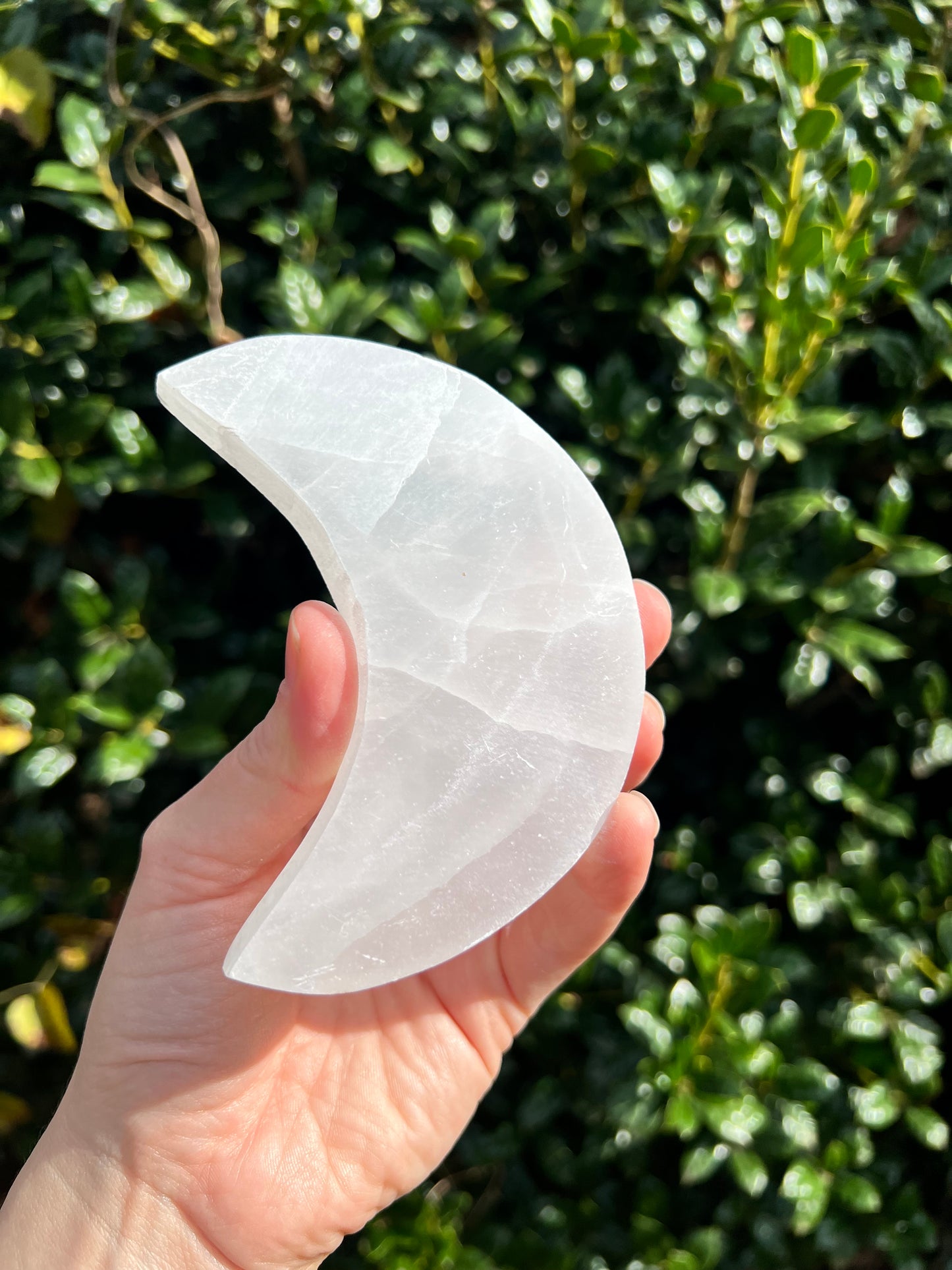 Selenite Flower of Life Moons