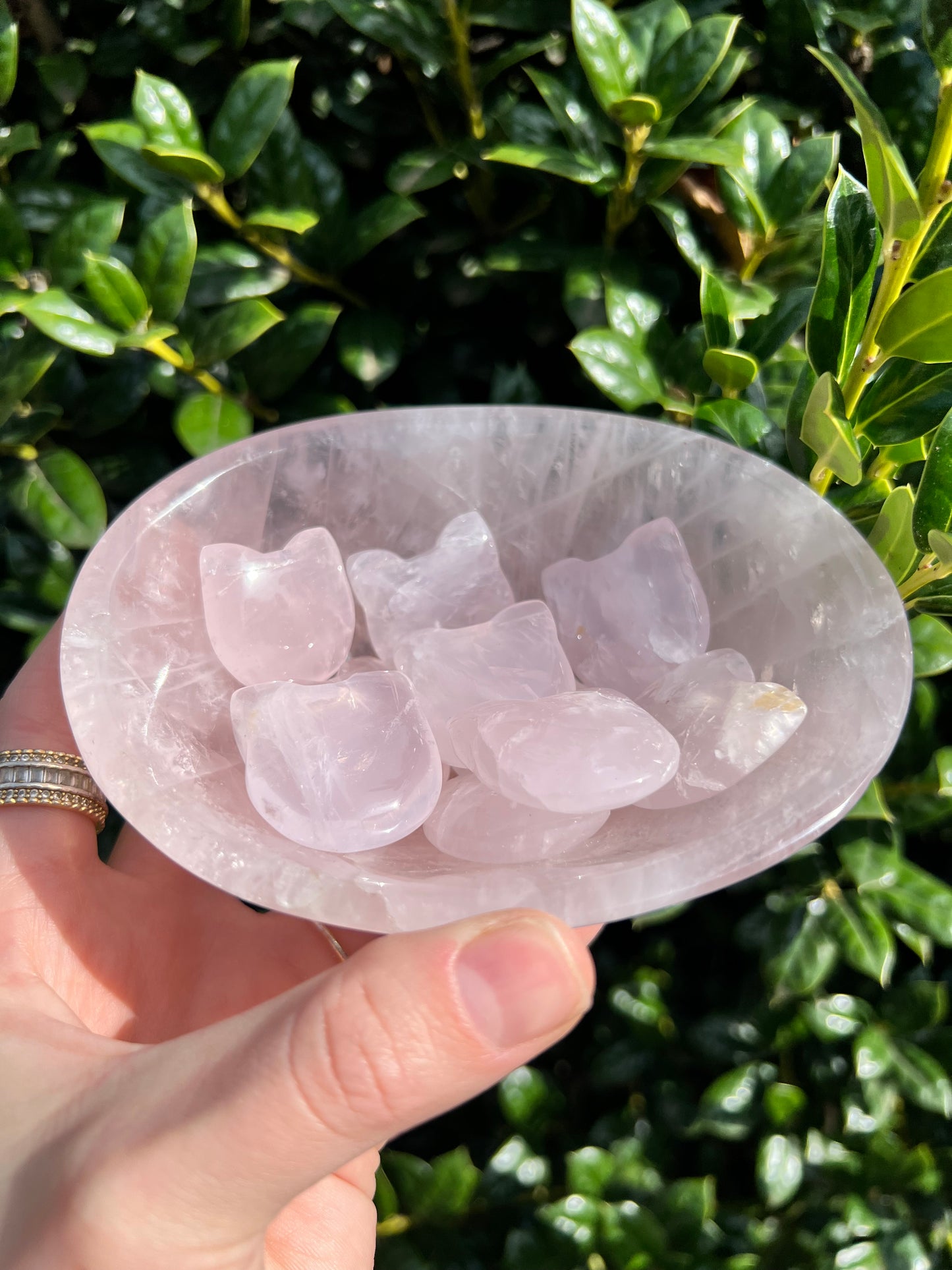 Rose Quartz Cat Heads