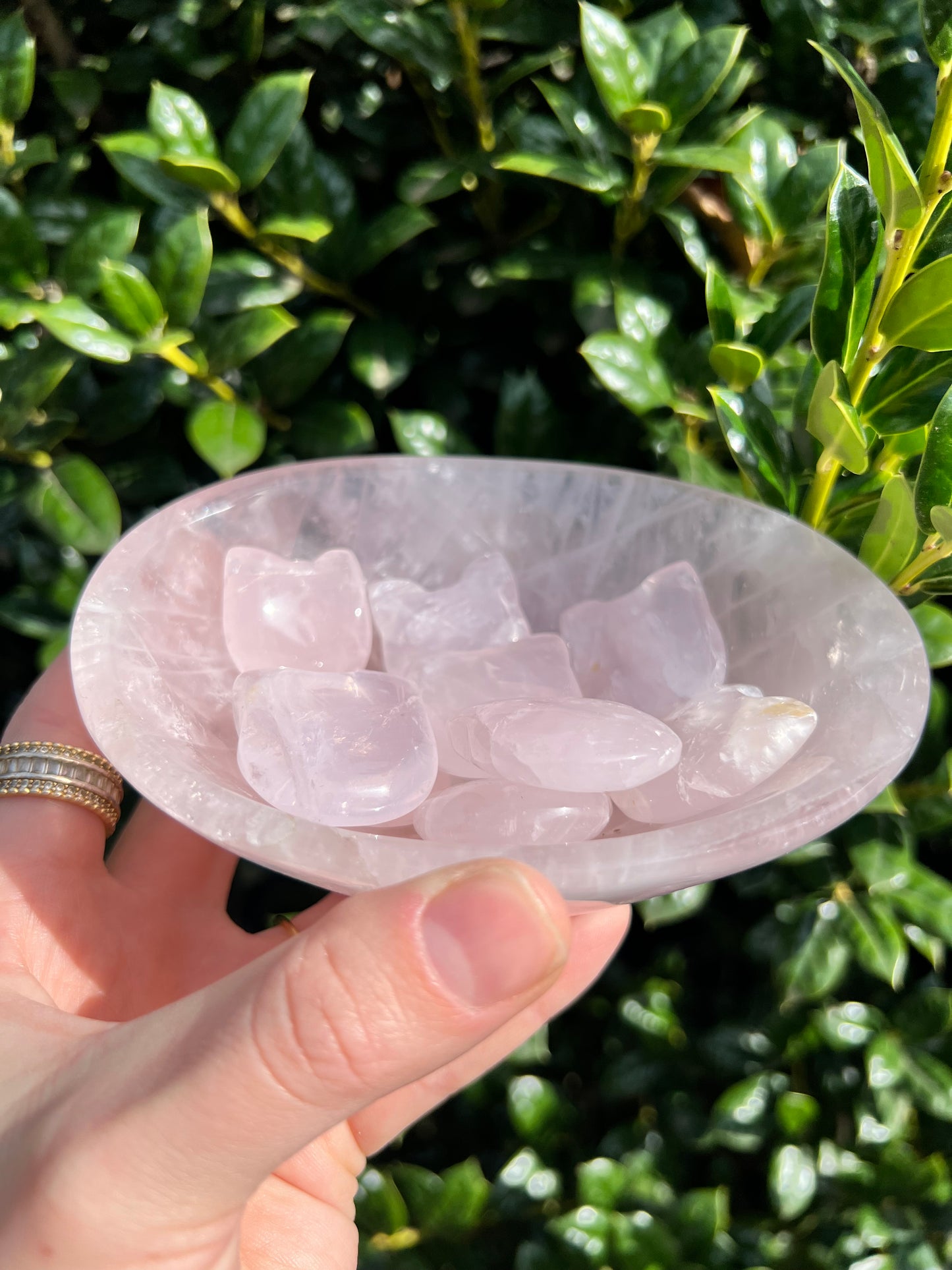 Rose Quartz Cat Heads