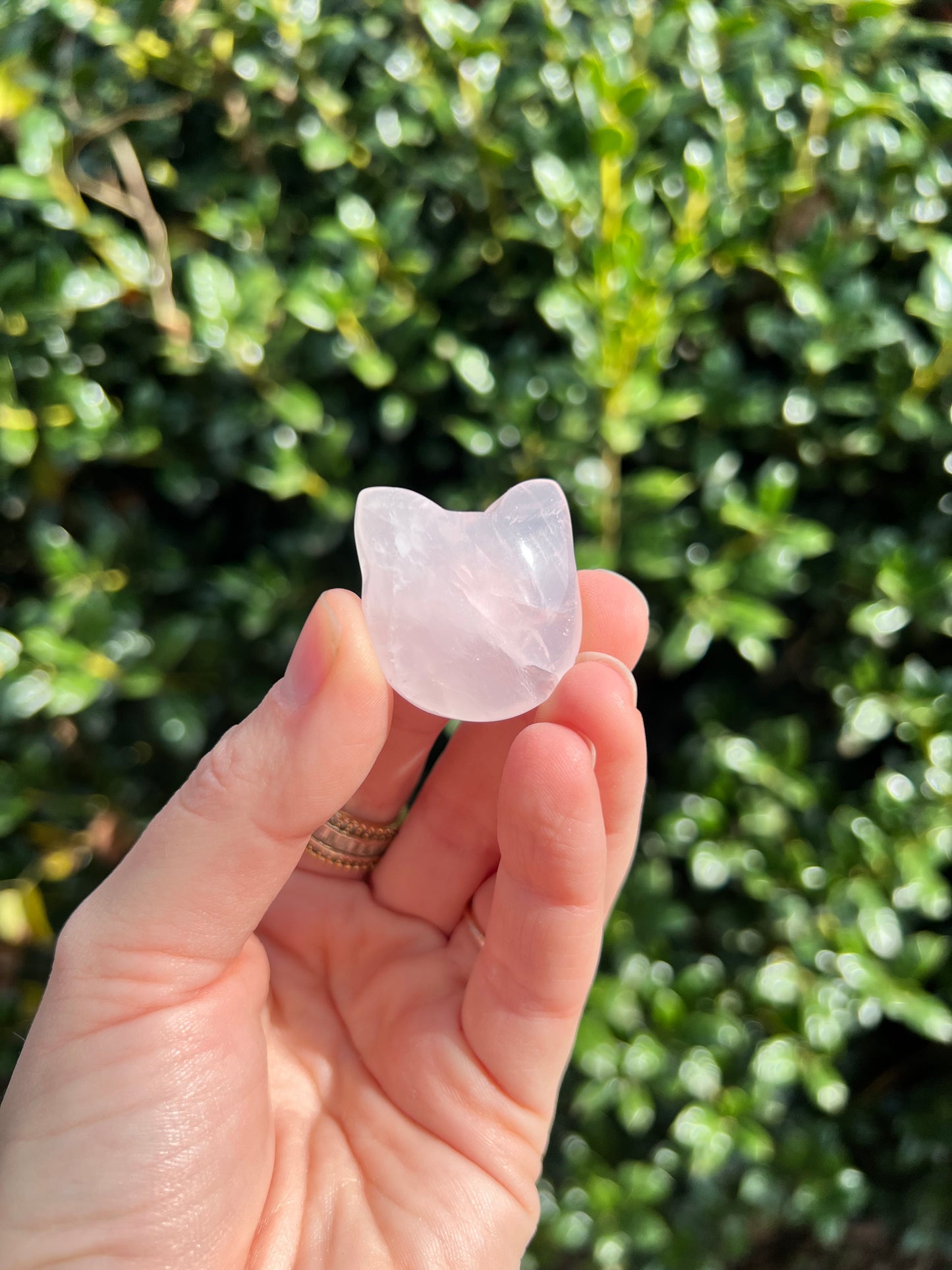 Rose Quartz Cat Heads