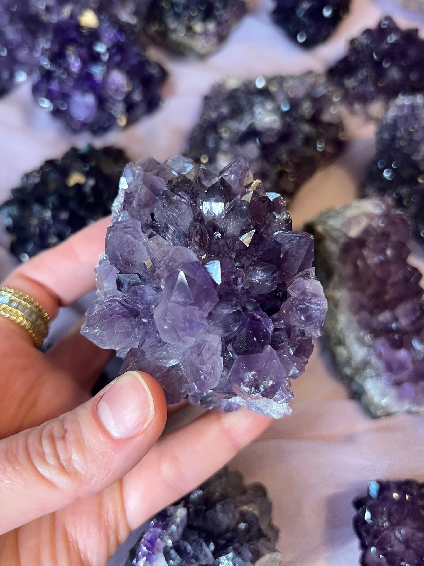 Amethyst Pines