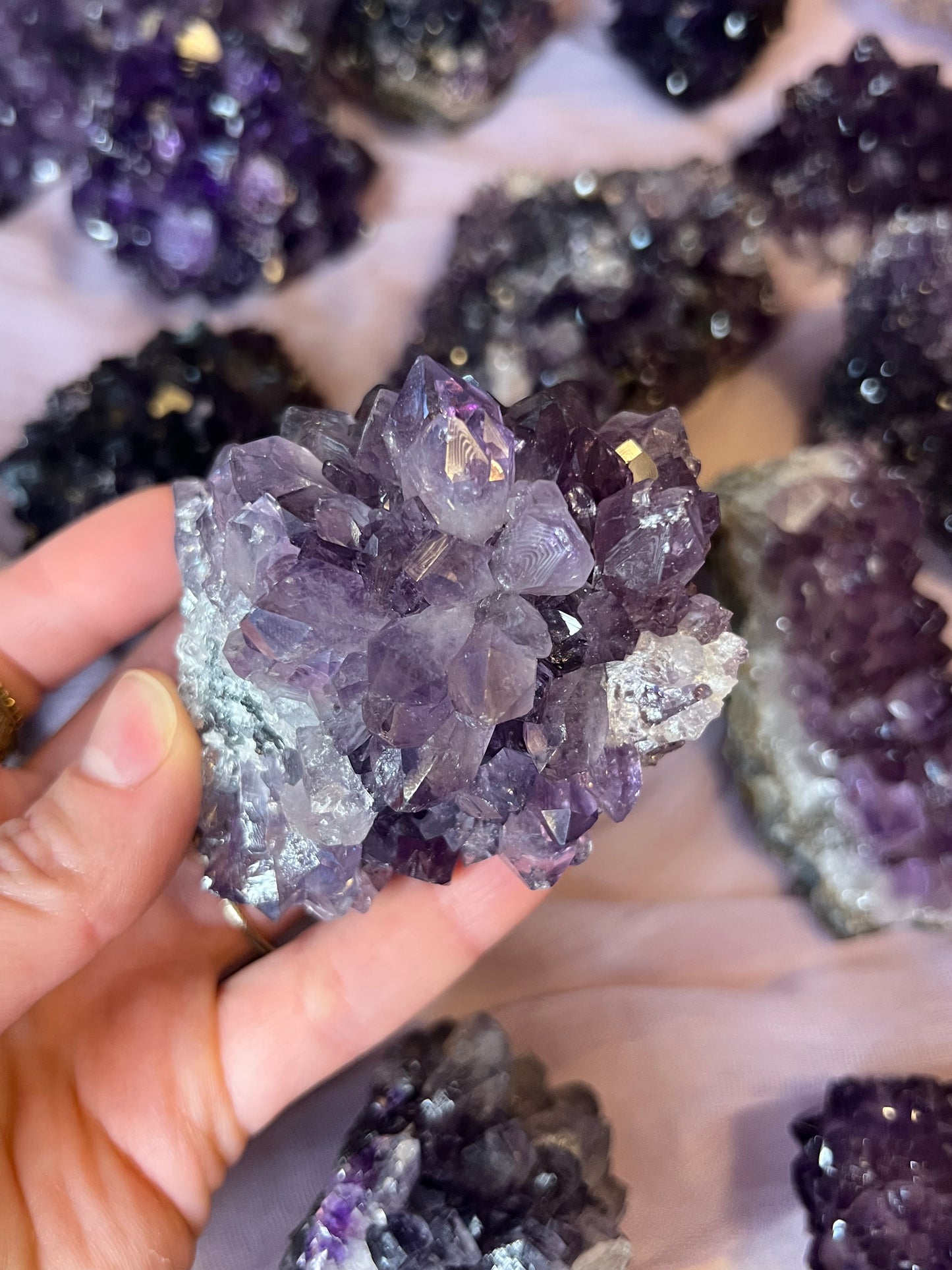 Amethyst Pines