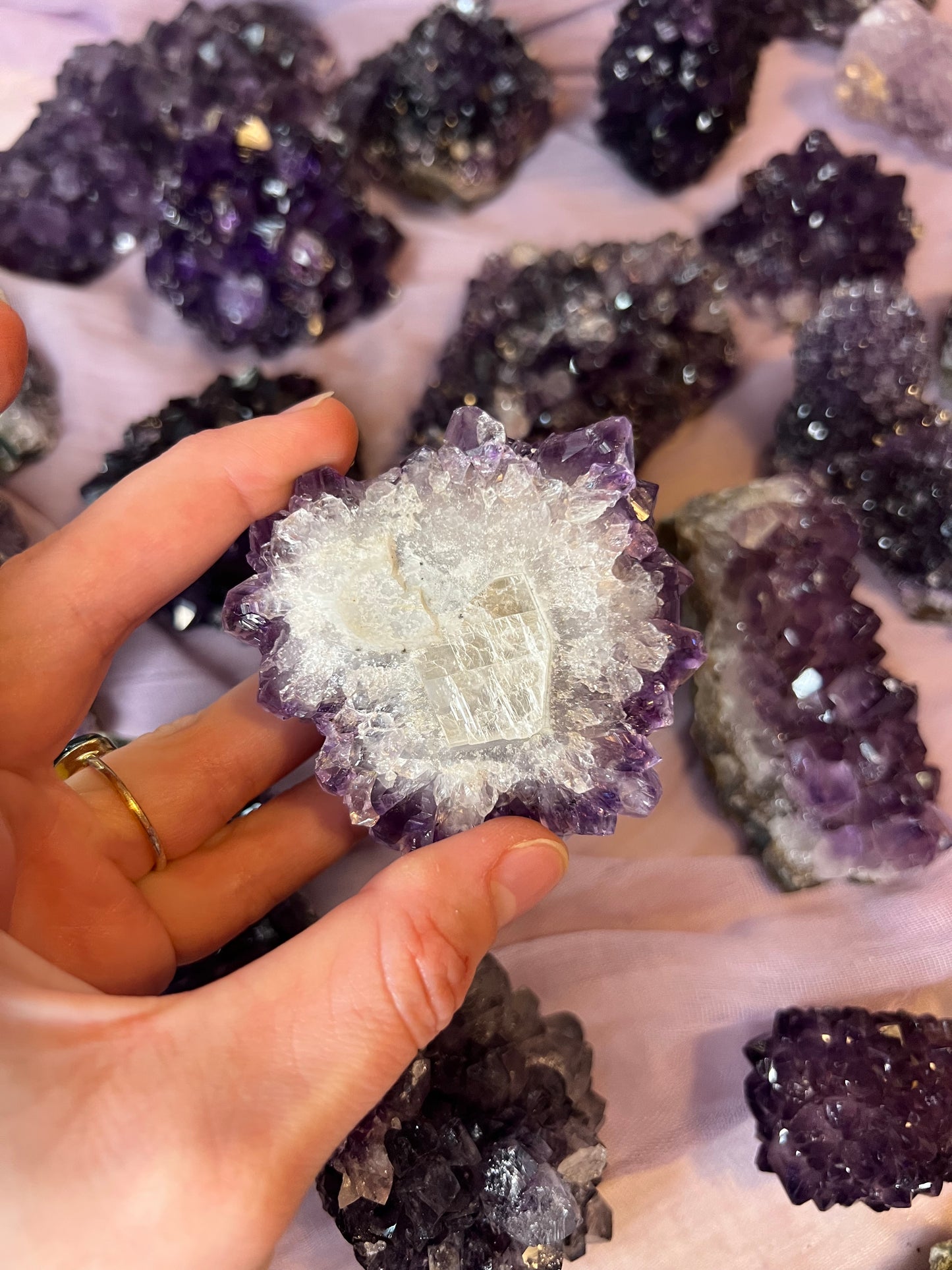 Amethyst Pines