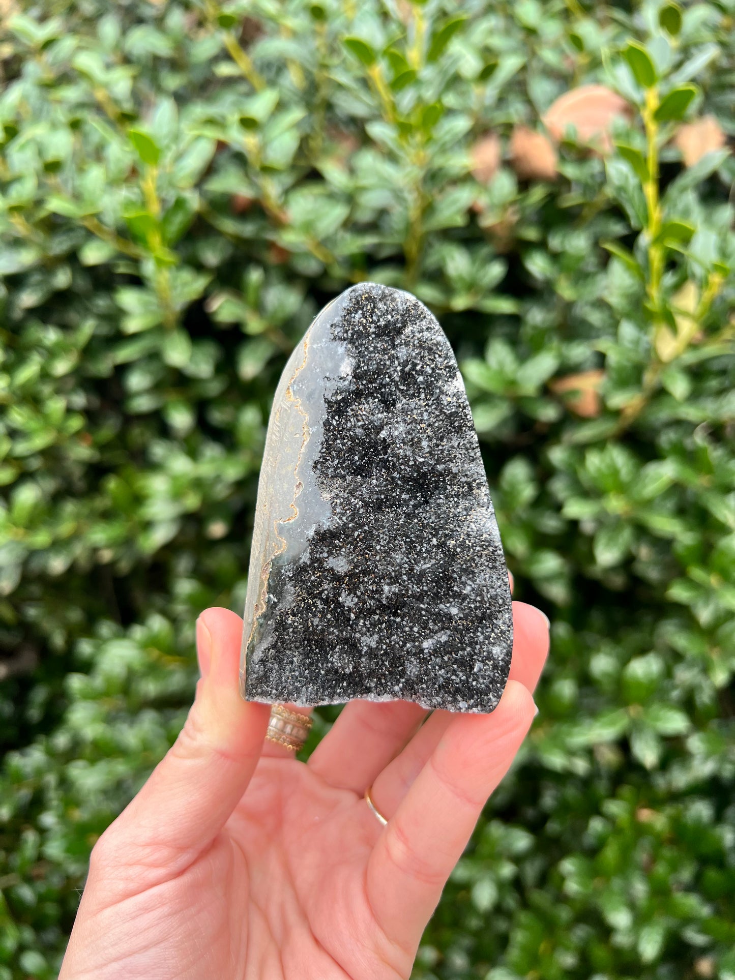 Black Amethyst Cut Bases