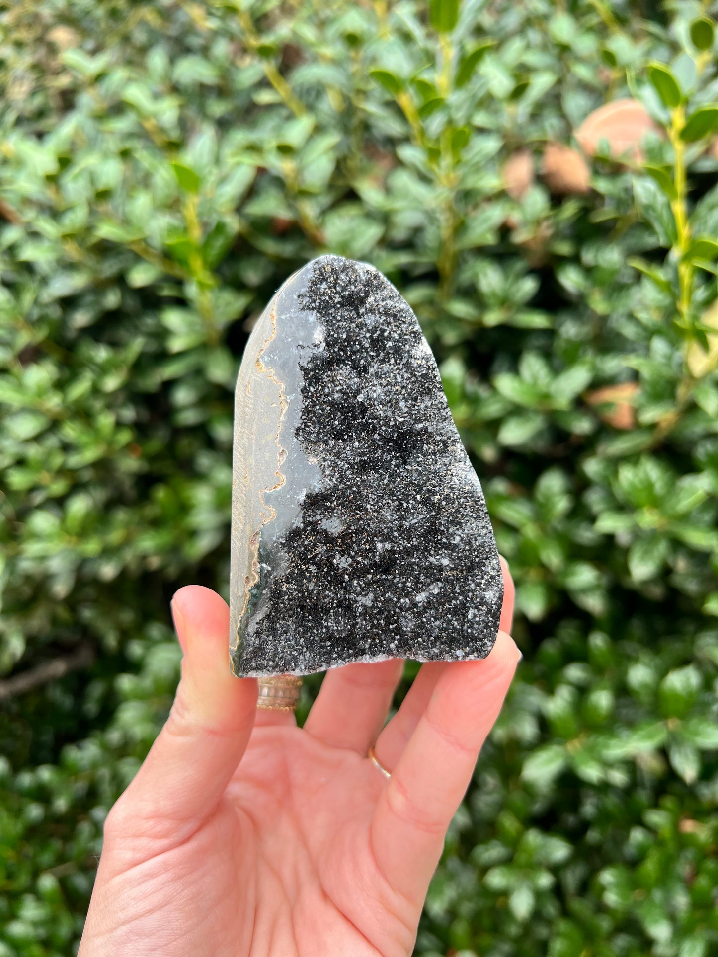 Black Amethyst Cut Bases