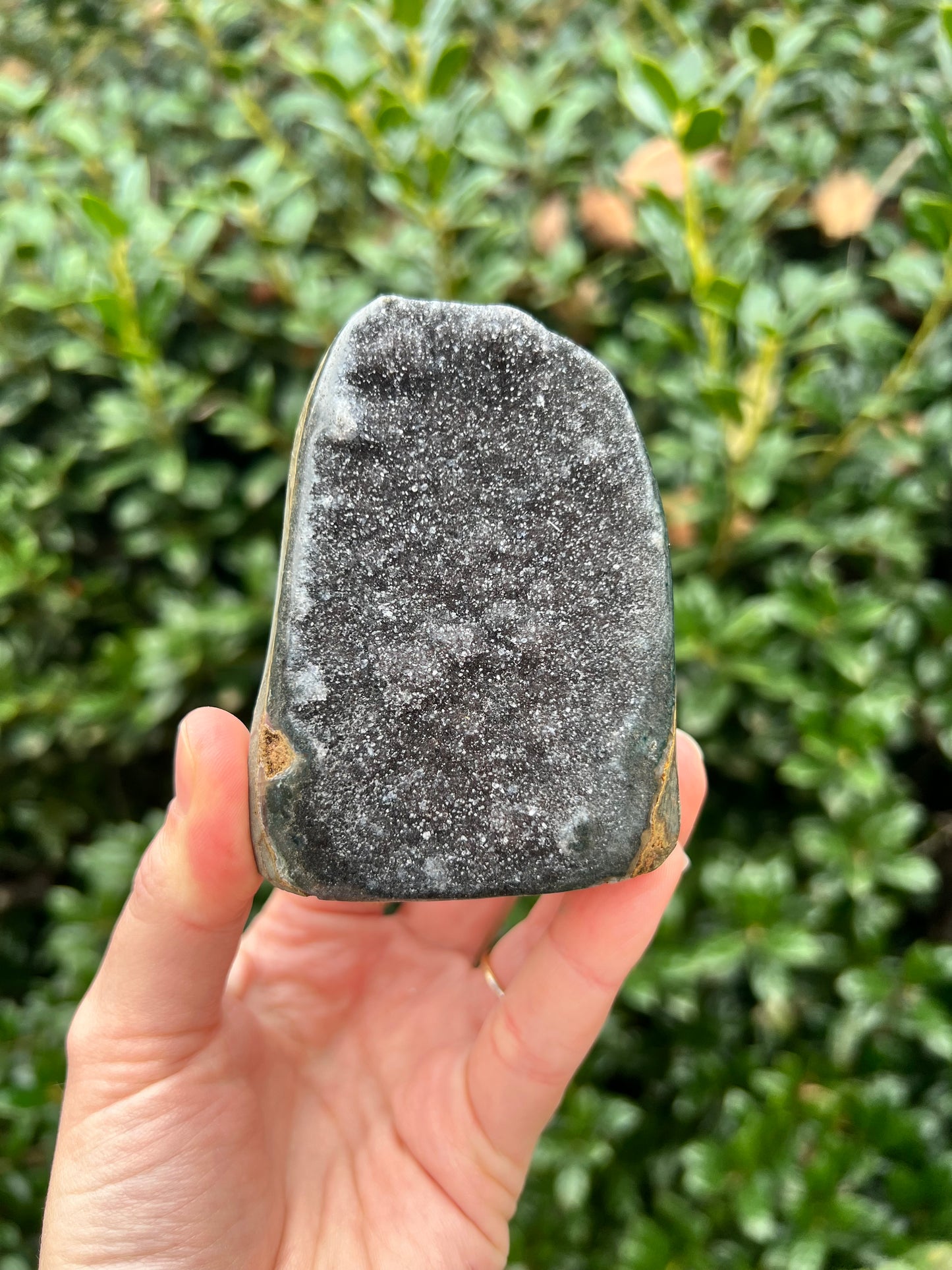 Black Amethyst Cut Bases