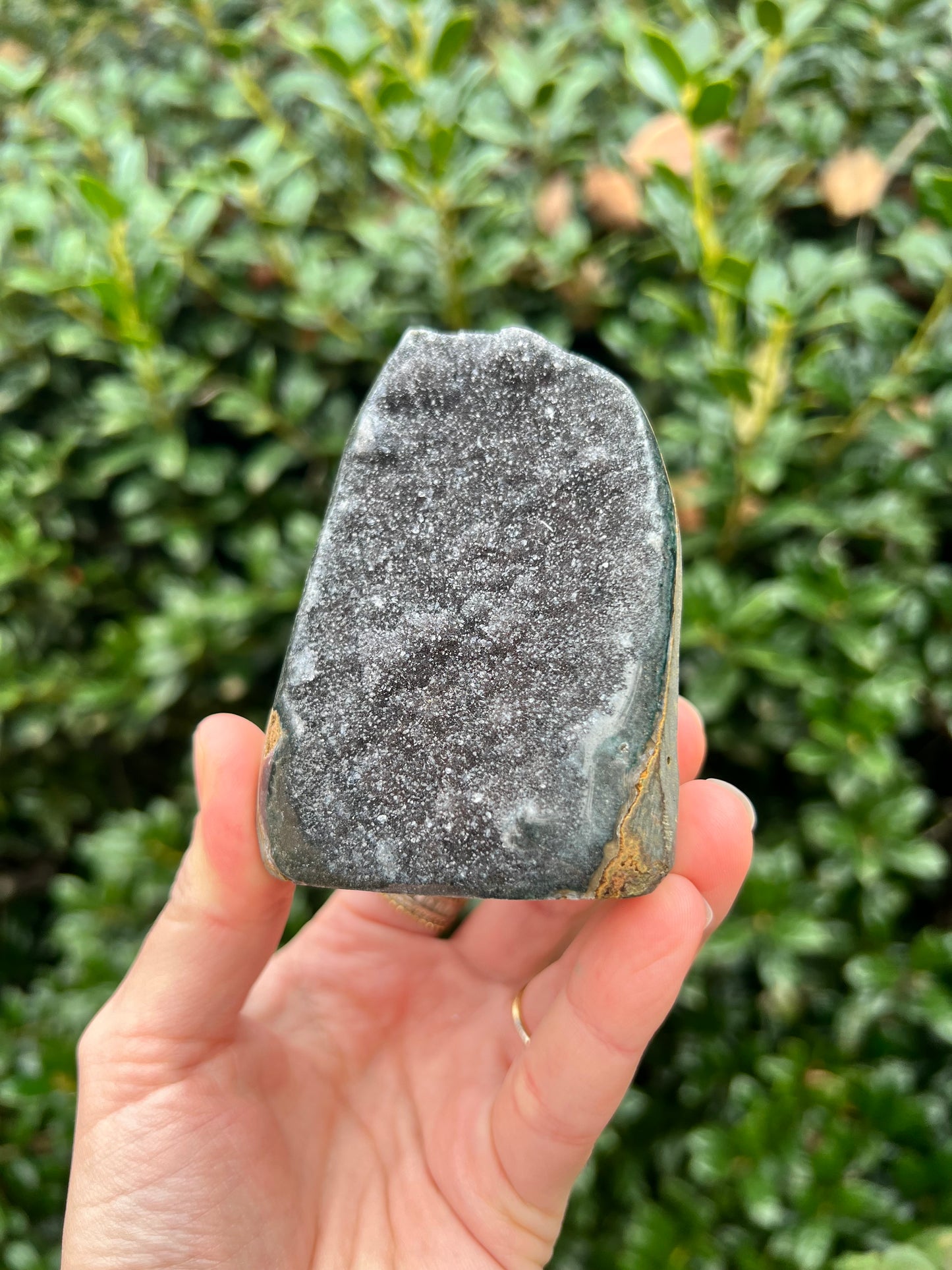 Black Amethyst Cut Bases