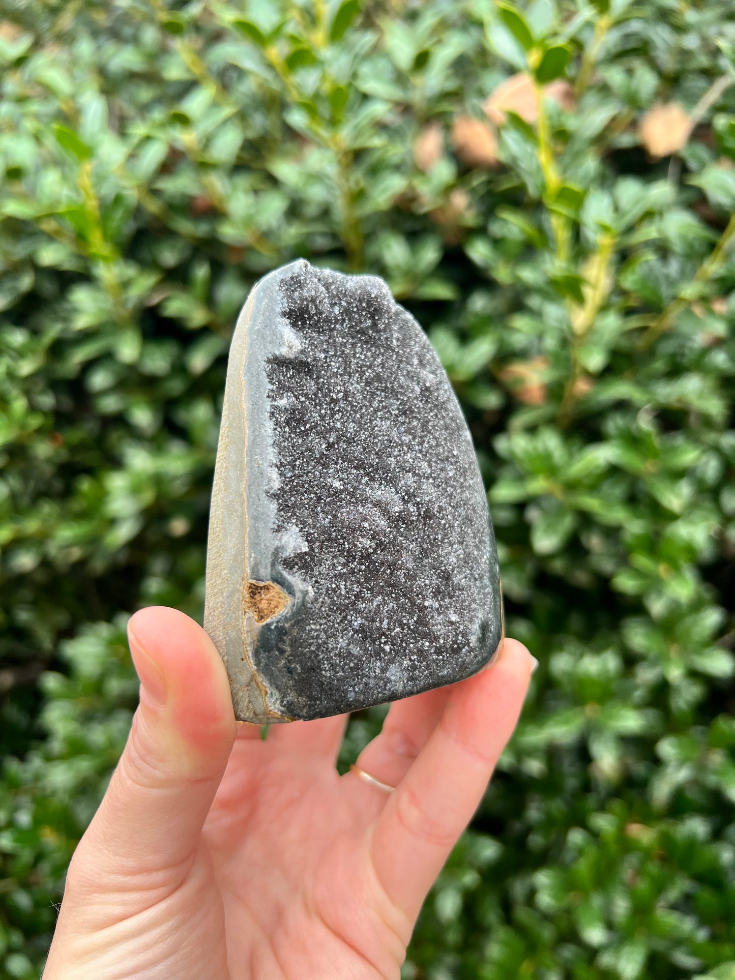 Black Amethyst Cut Bases