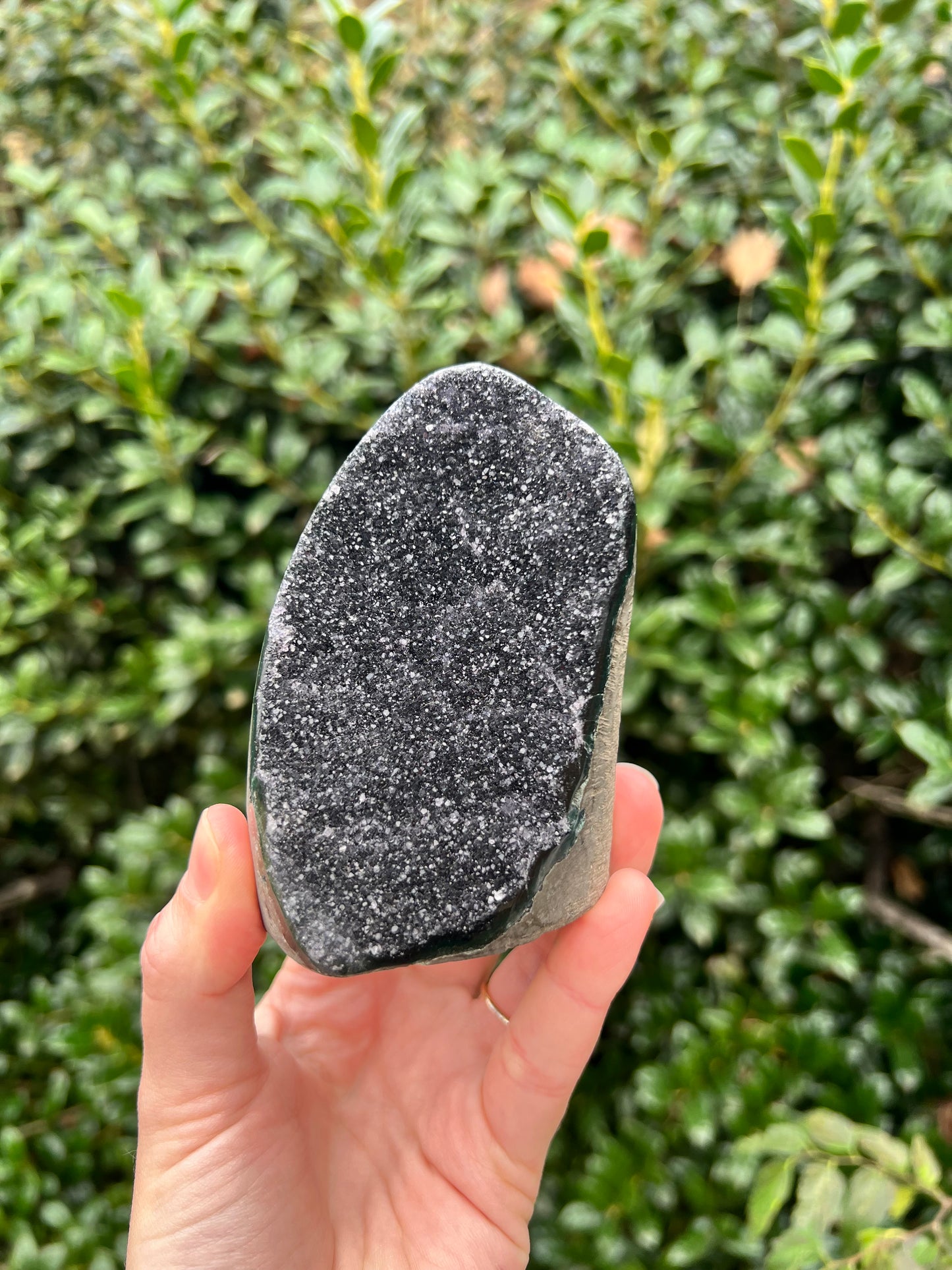 Black Amethyst Cut Bases