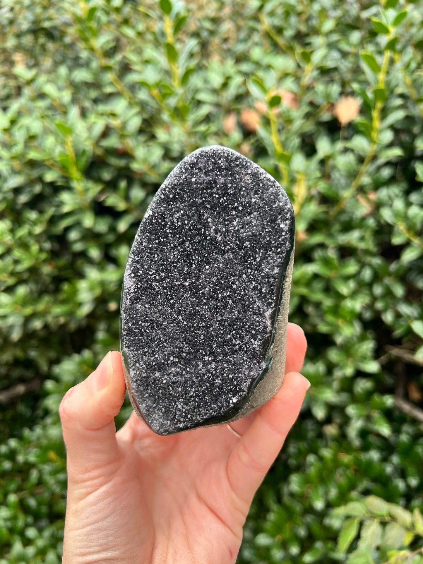 Black Amethyst Cut Bases