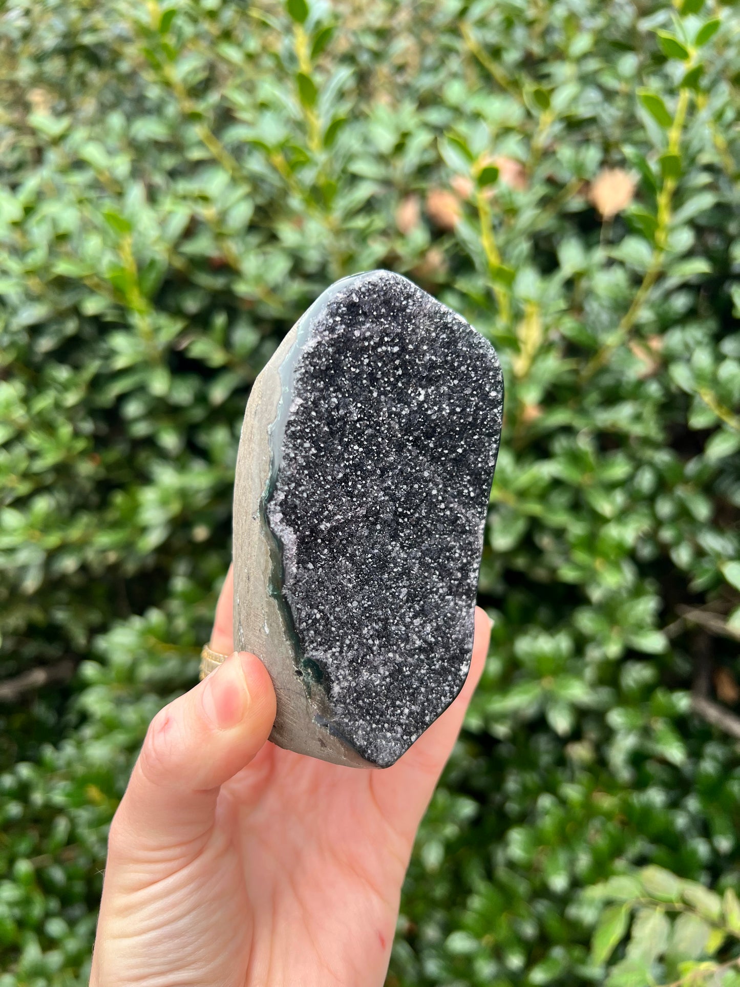 Black Amethyst Cut Bases