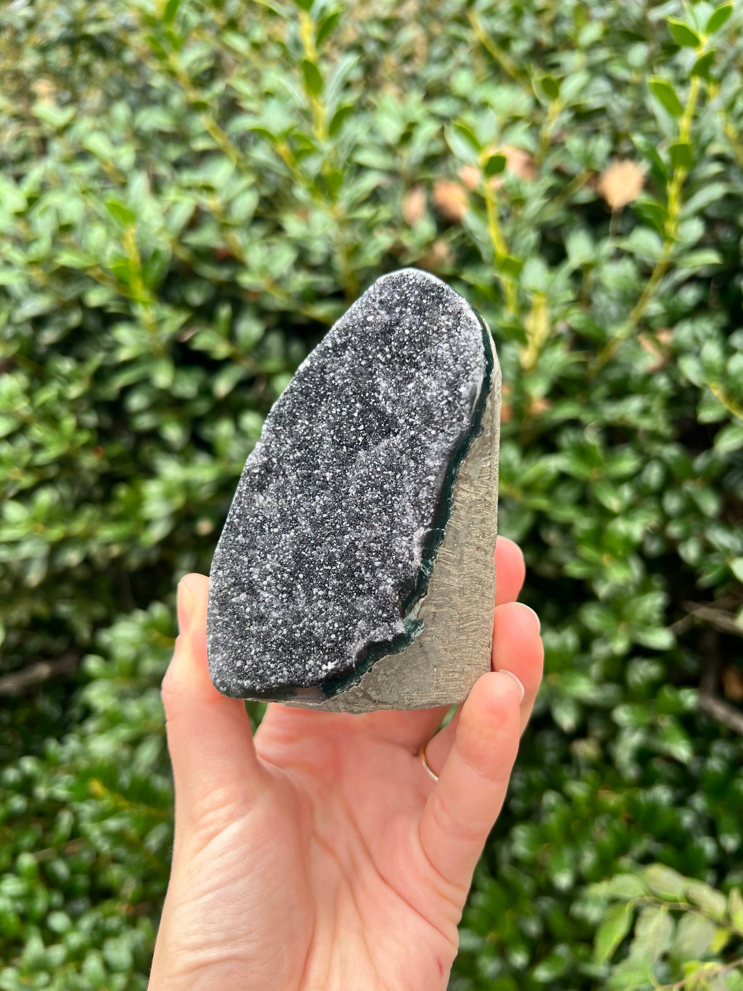 Black Amethyst Cut Bases