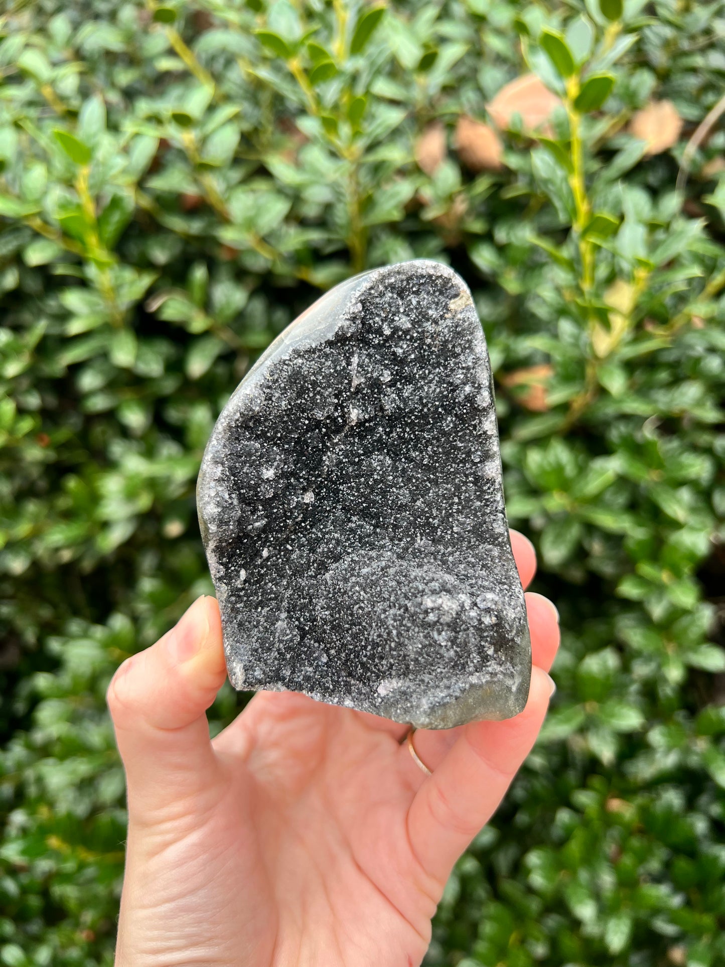 Black Amethyst Cut Bases