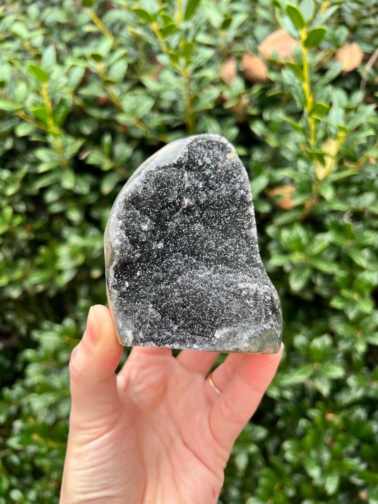 Black Amethyst Cut Bases