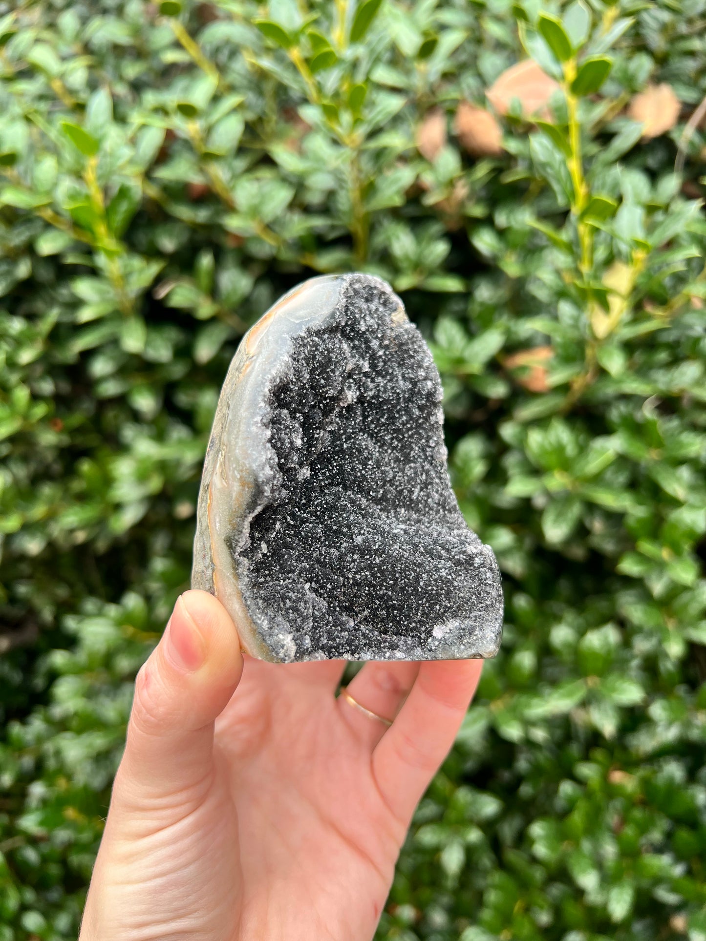 Black Amethyst Cut Bases