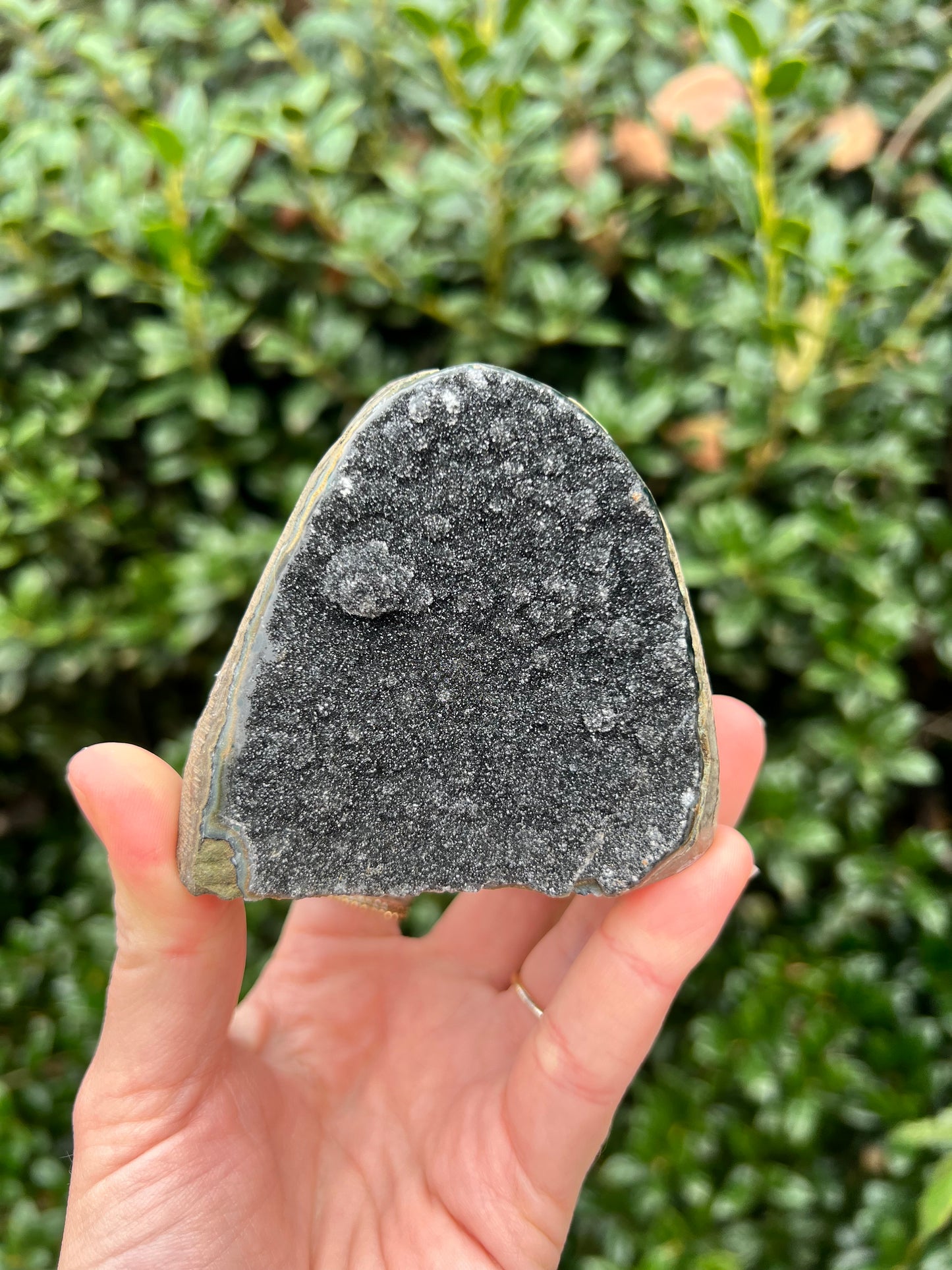 Black Amethyst Cut Bases