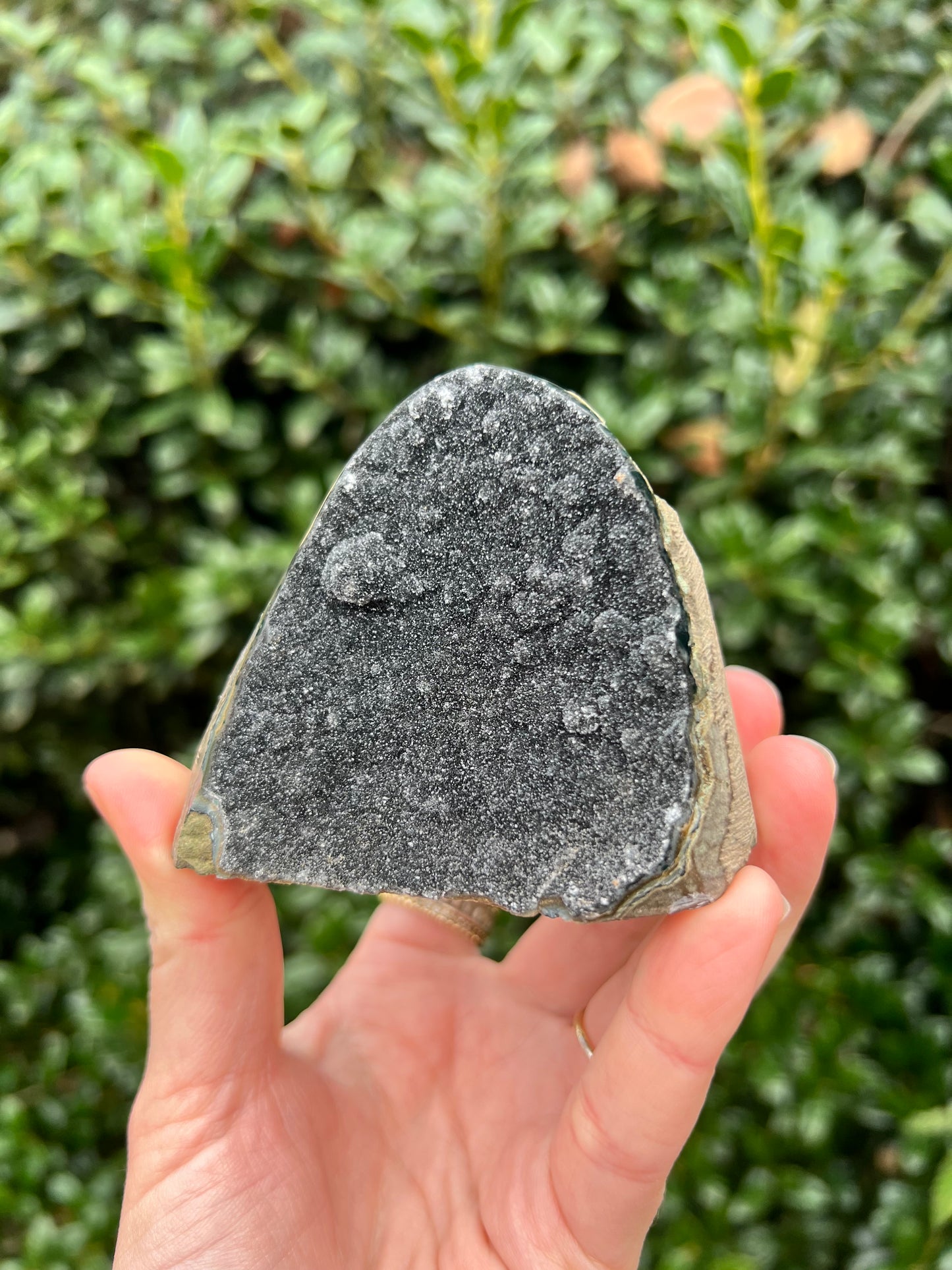 Black Amethyst Cut Bases