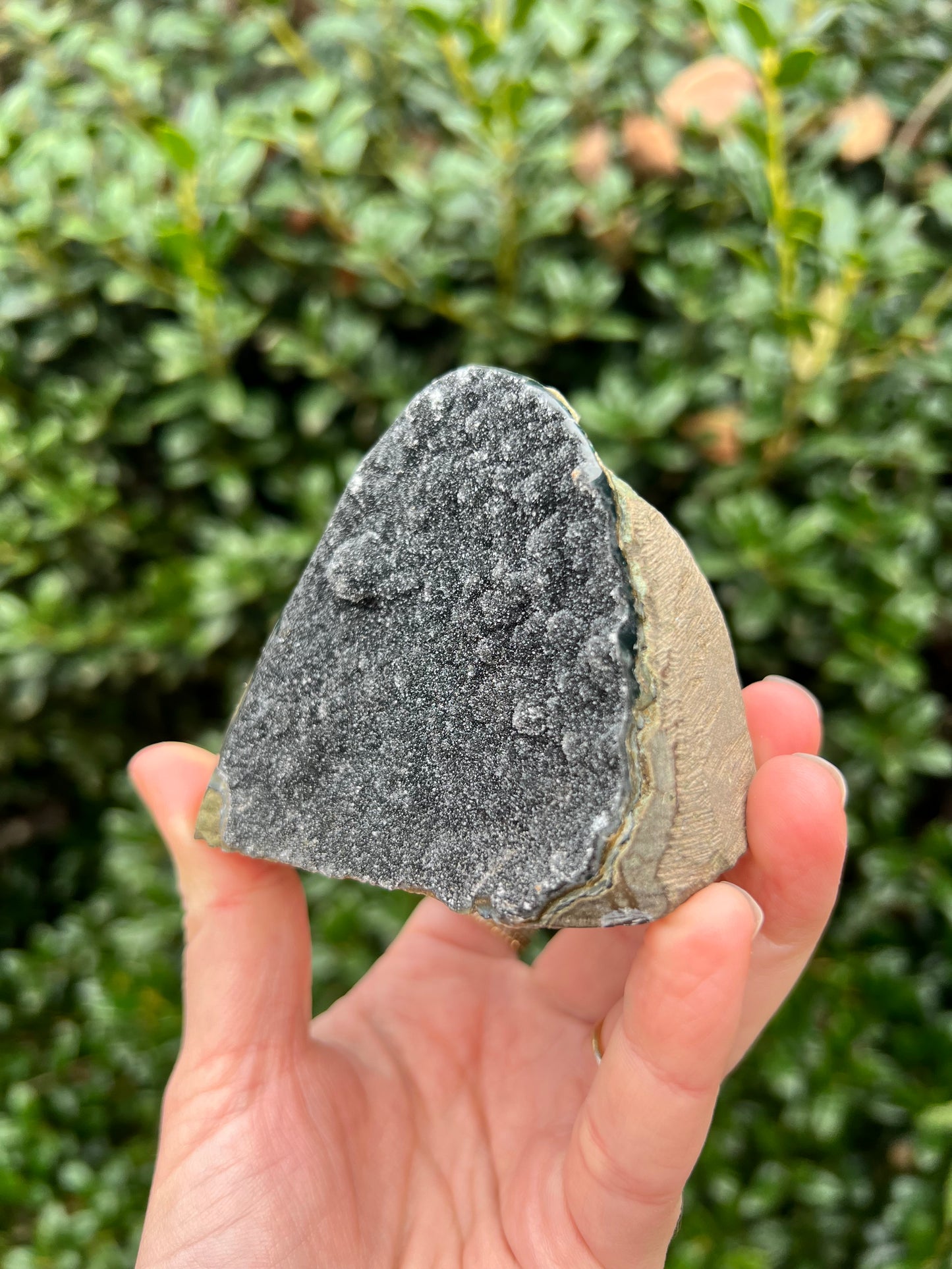 Black Amethyst Cut Bases