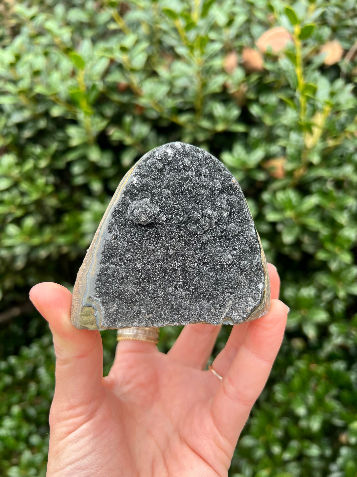 Black Amethyst Cut Bases