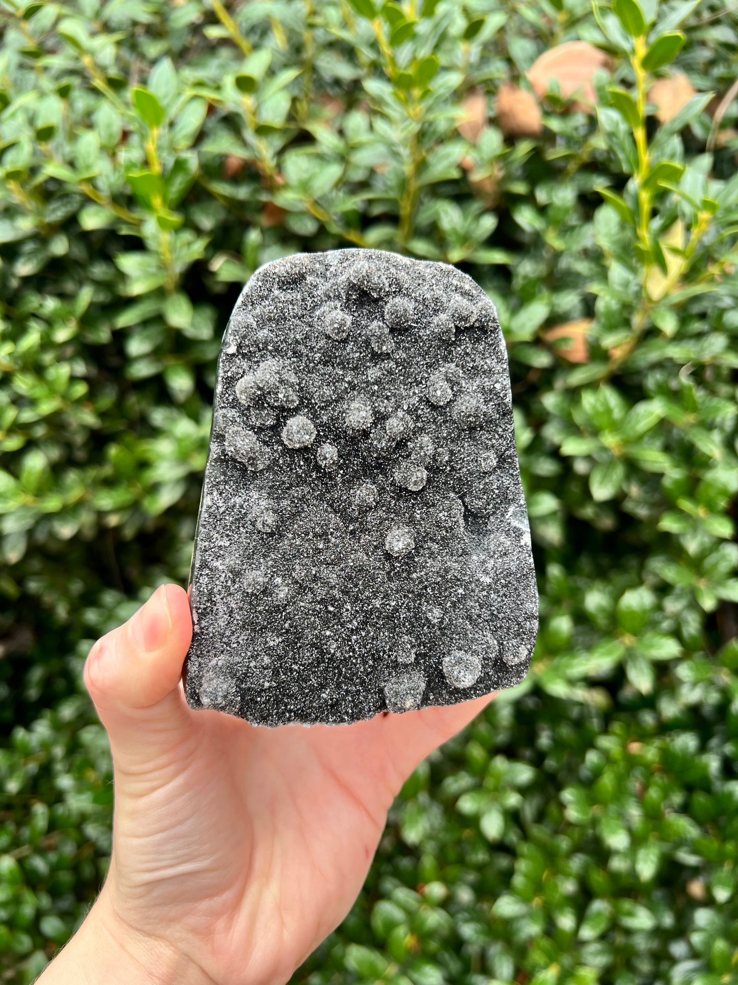 Black Amethyst Cut Bases