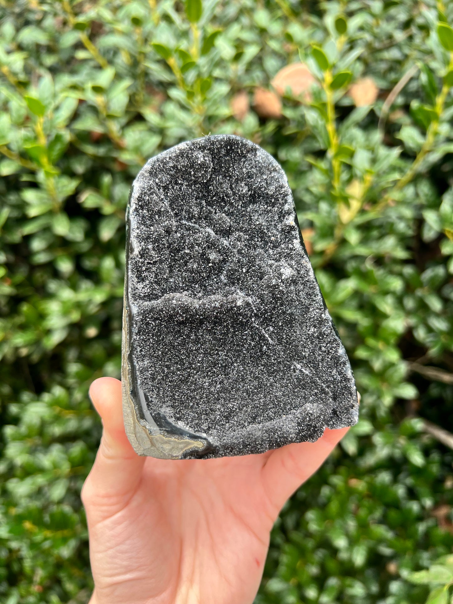 Black Amethyst Cut Bases