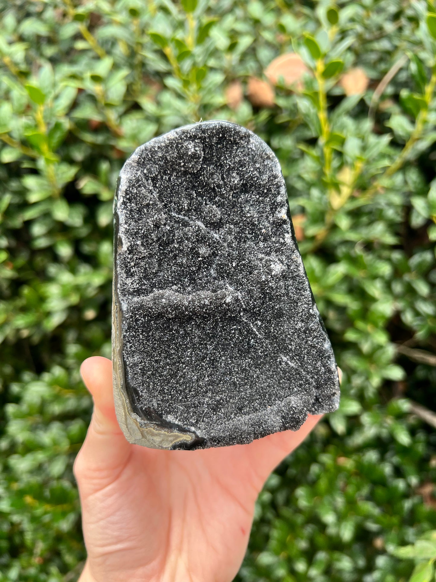 Black Amethyst Cut Bases