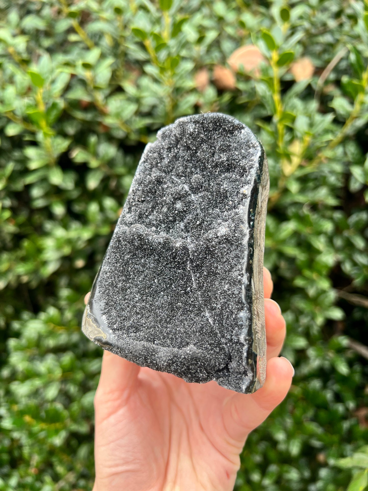 Black Amethyst Cut Bases