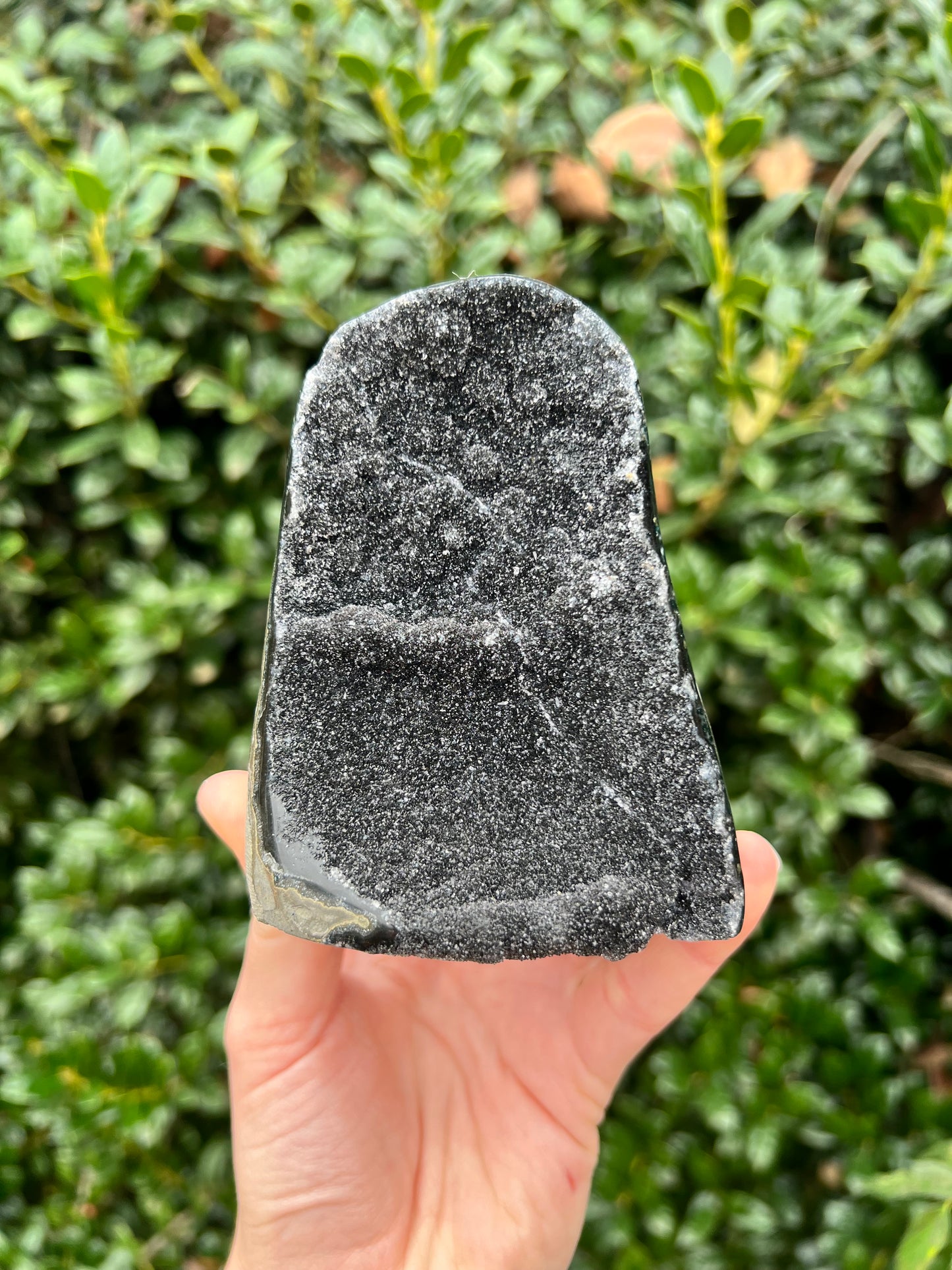 Black Amethyst Cut Bases