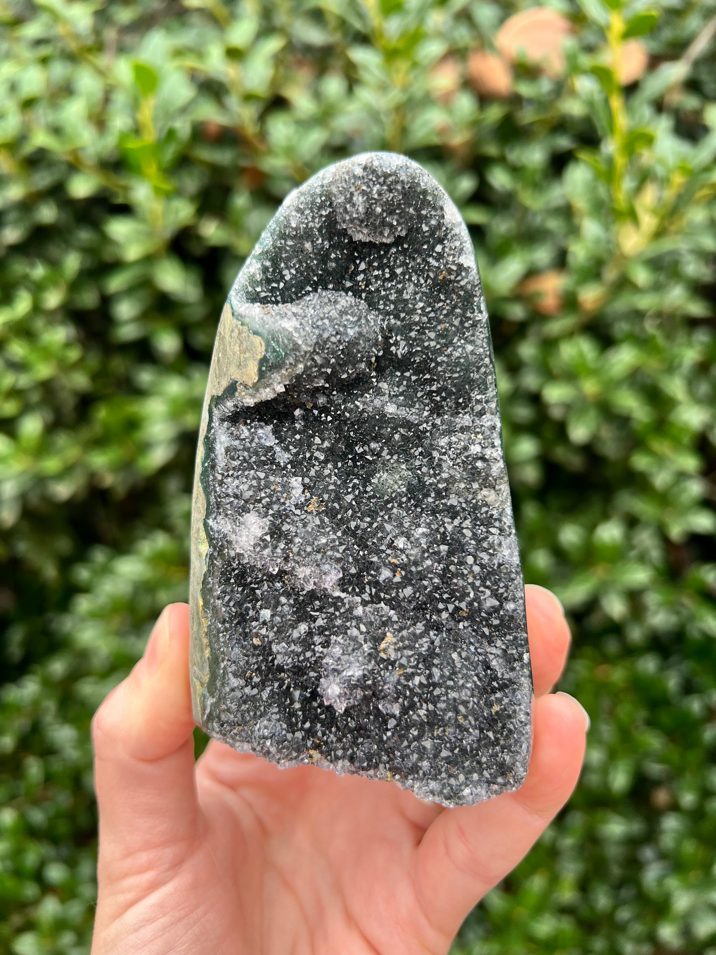 Black Amethyst Cut Bases