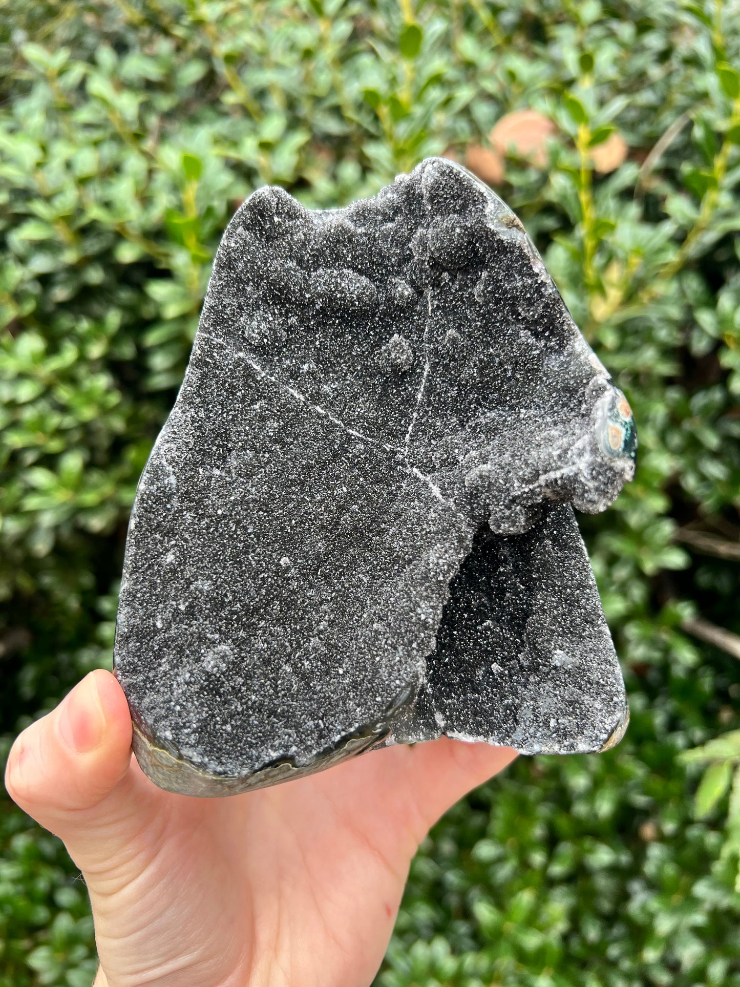 Black Amethyst Cut Bases