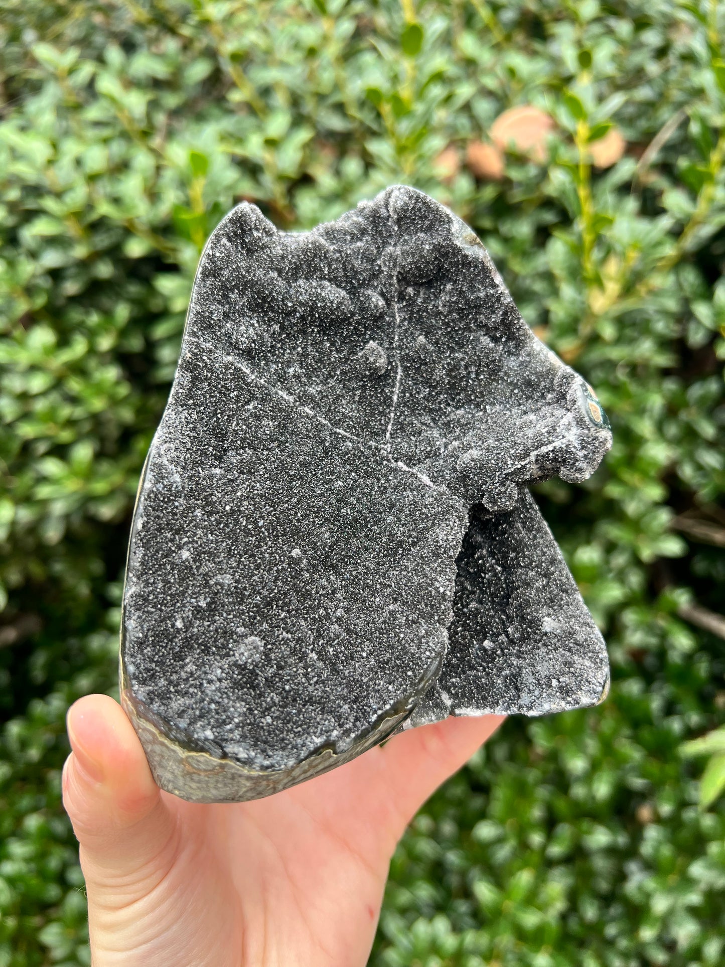 Black Amethyst Cut Bases