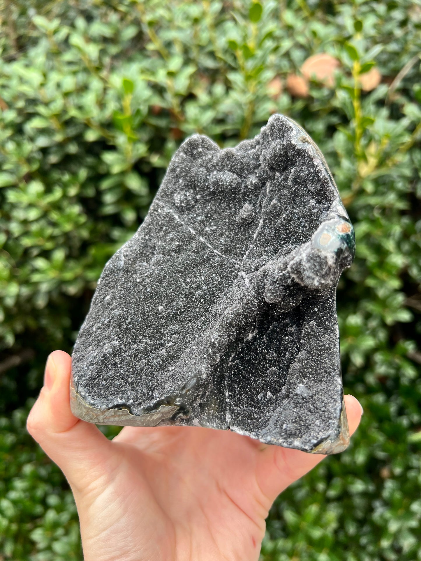 Black Amethyst Cut Bases