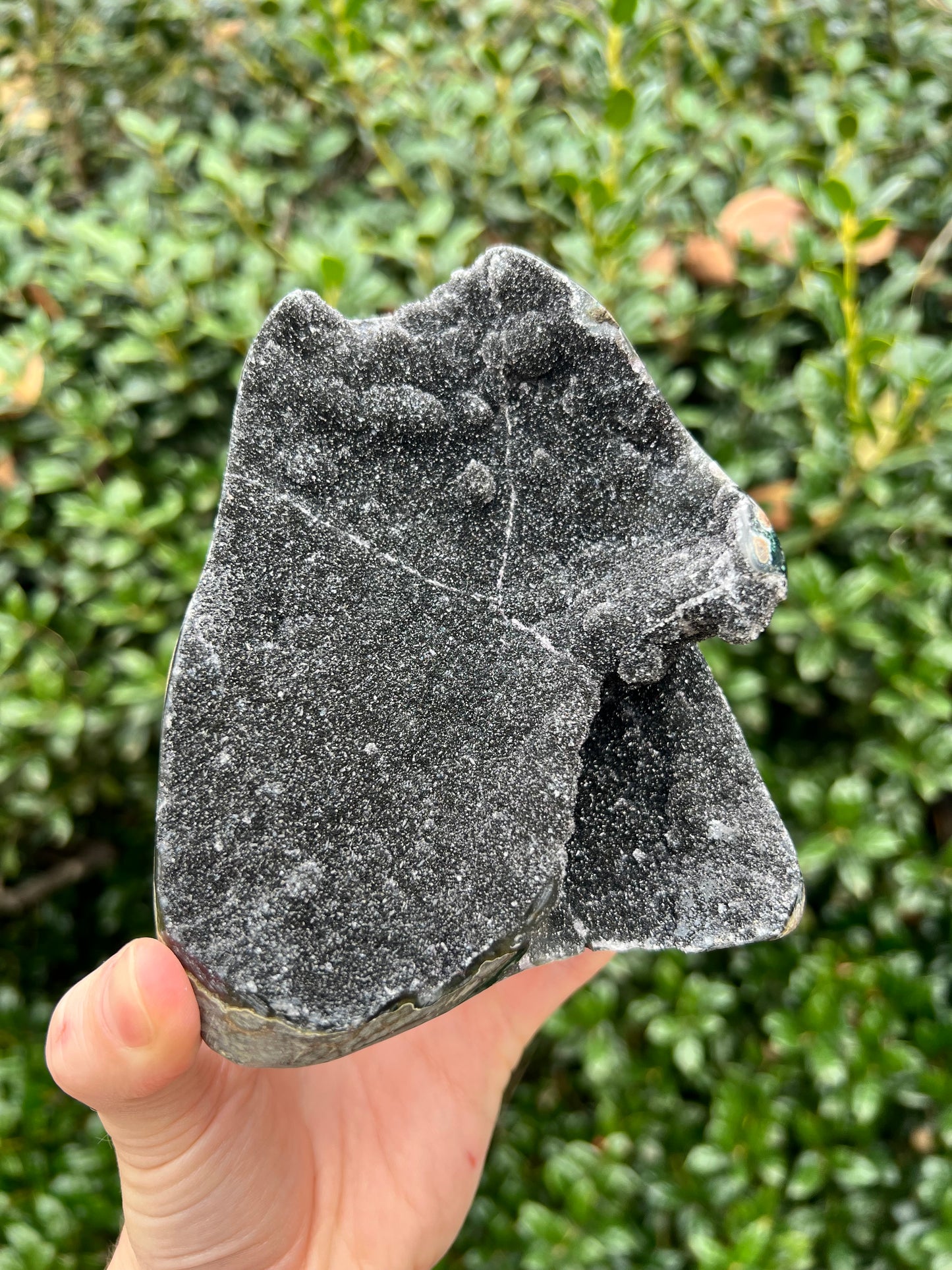 Black Amethyst Cut Bases