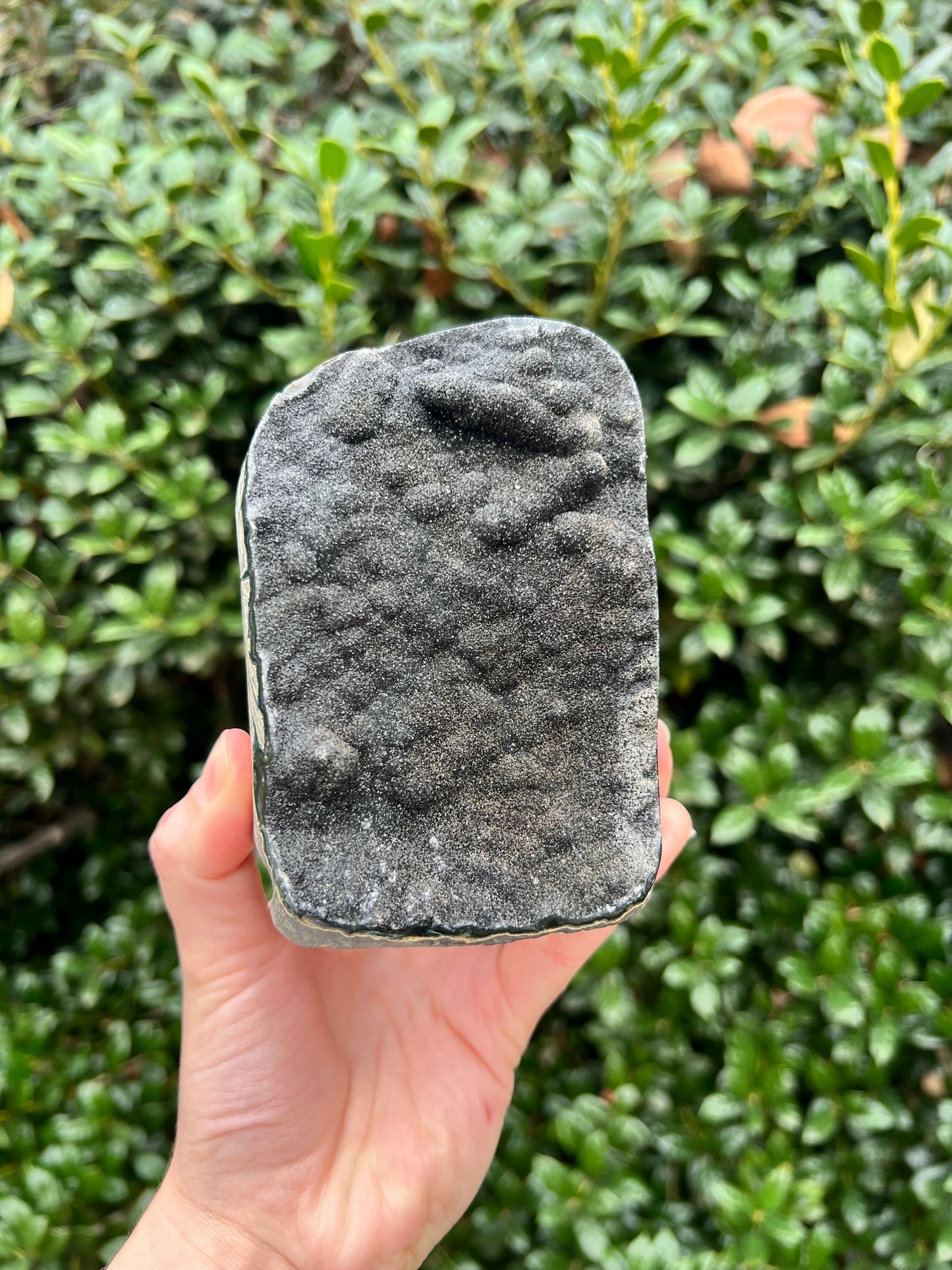 Black Amethyst Cut Bases