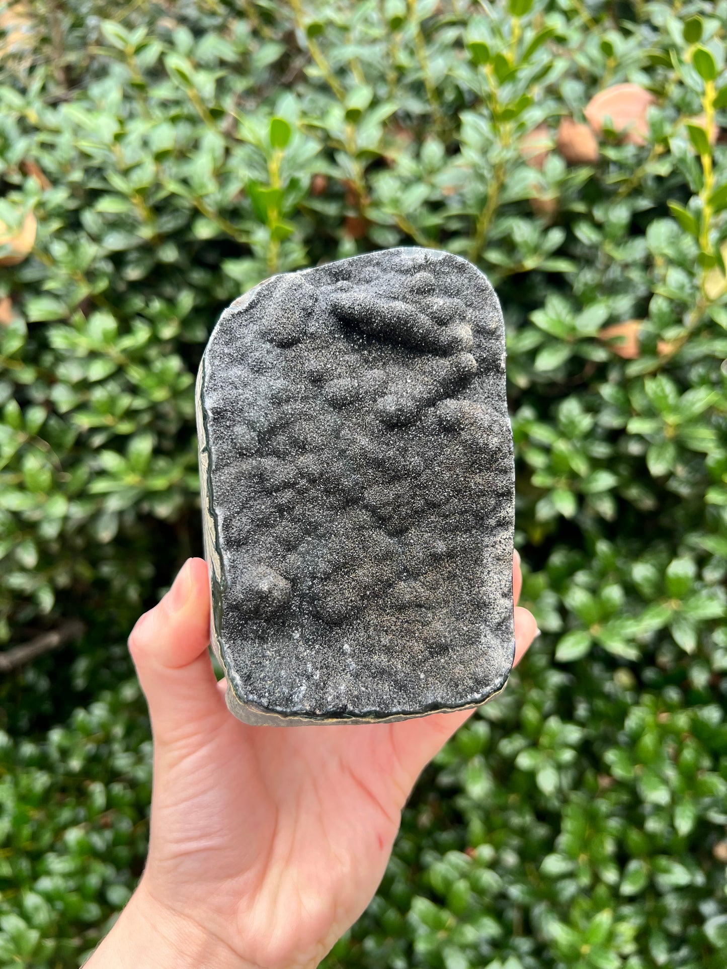 Black Amethyst Cut Bases