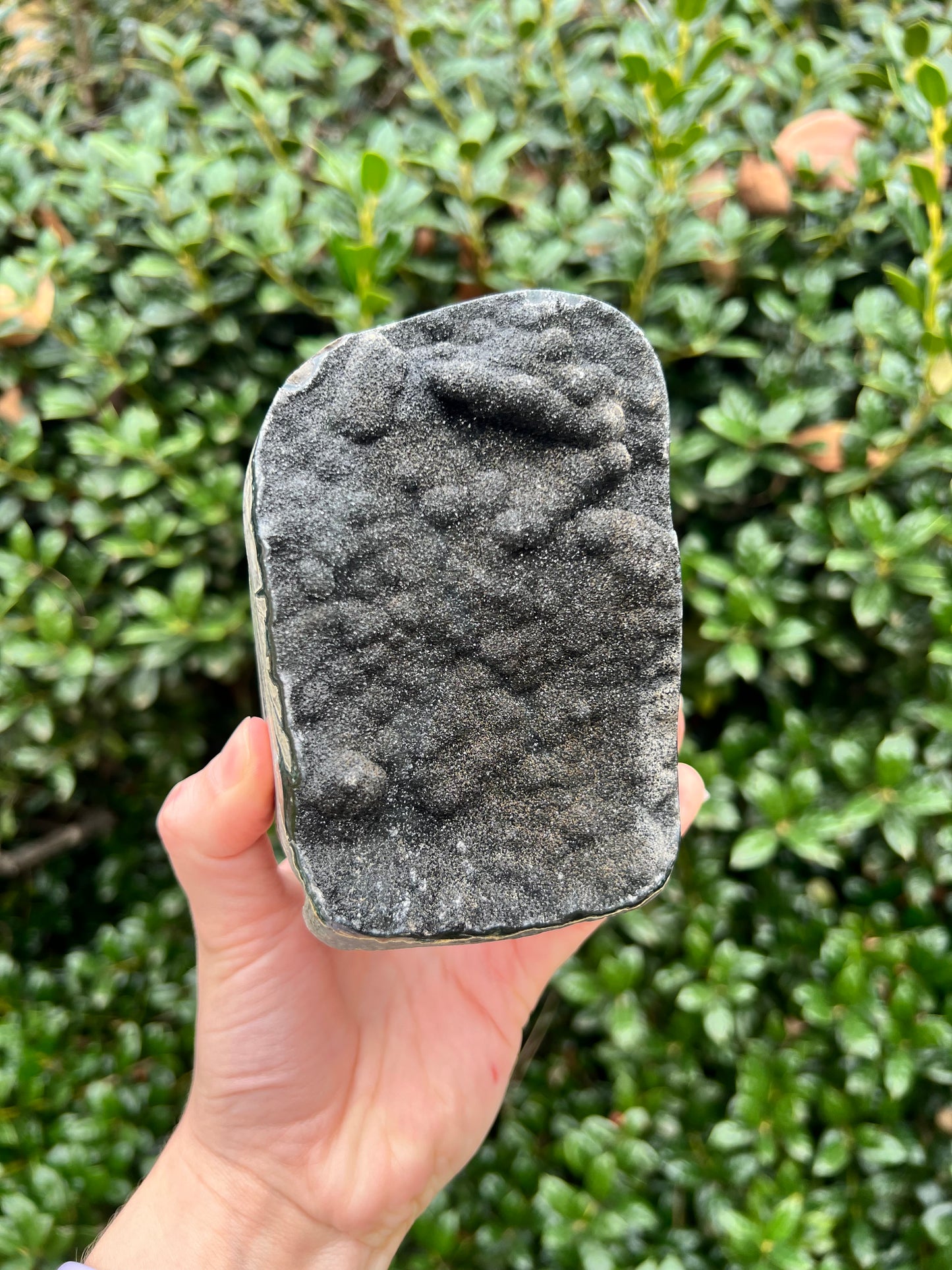 Black Amethyst Cut Bases