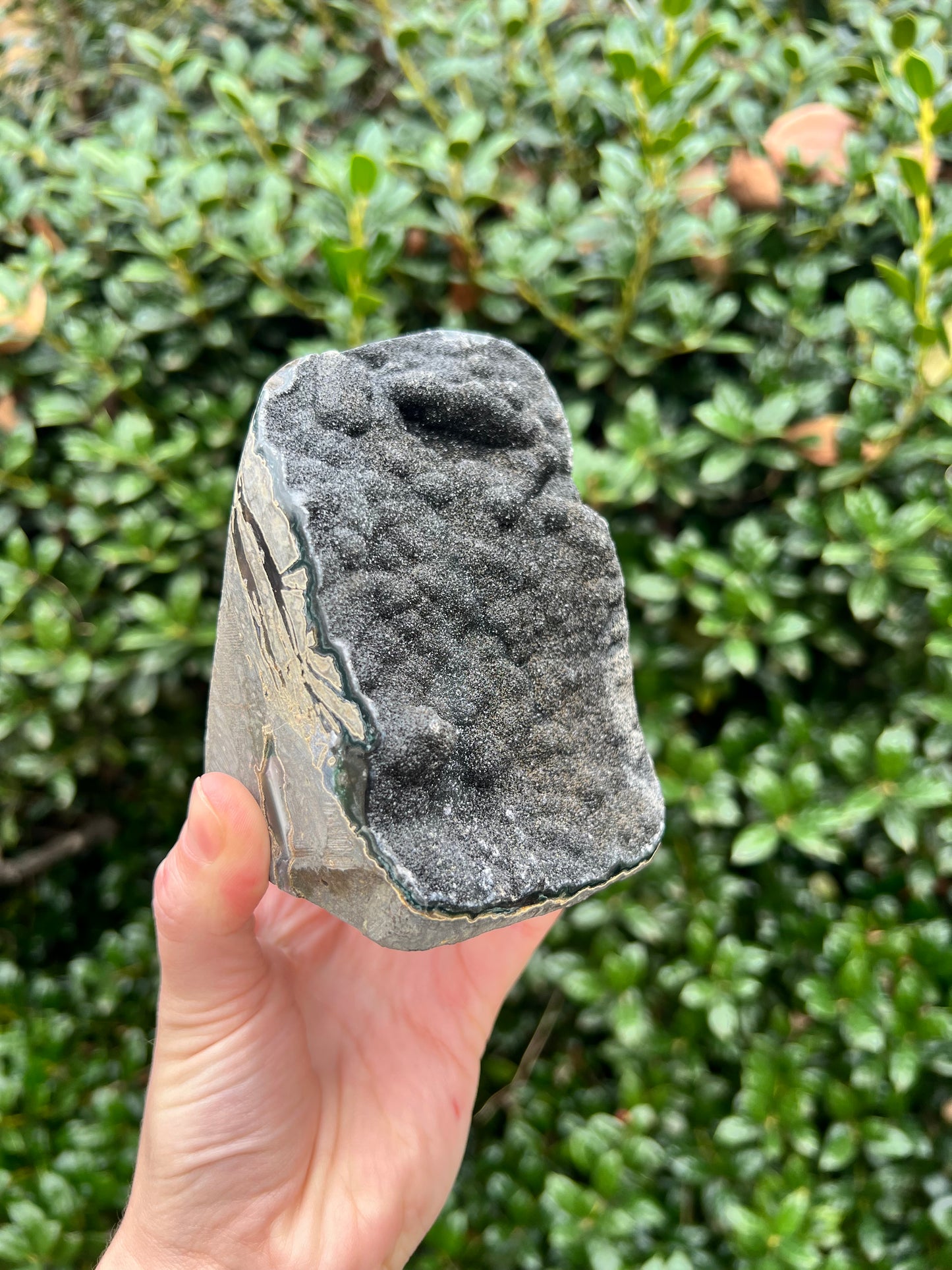 Black Amethyst Cut Bases