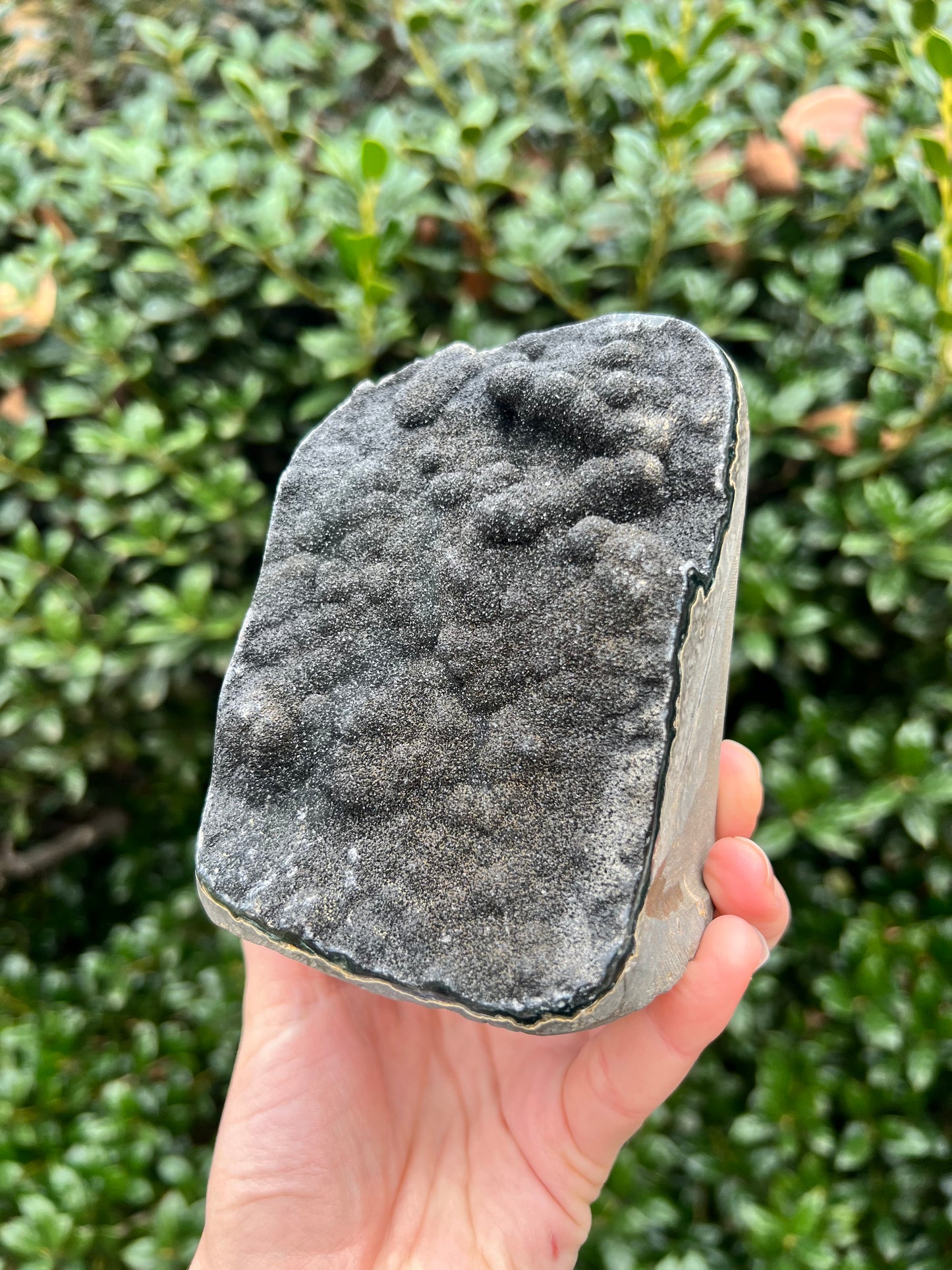 Black Amethyst Cut Bases