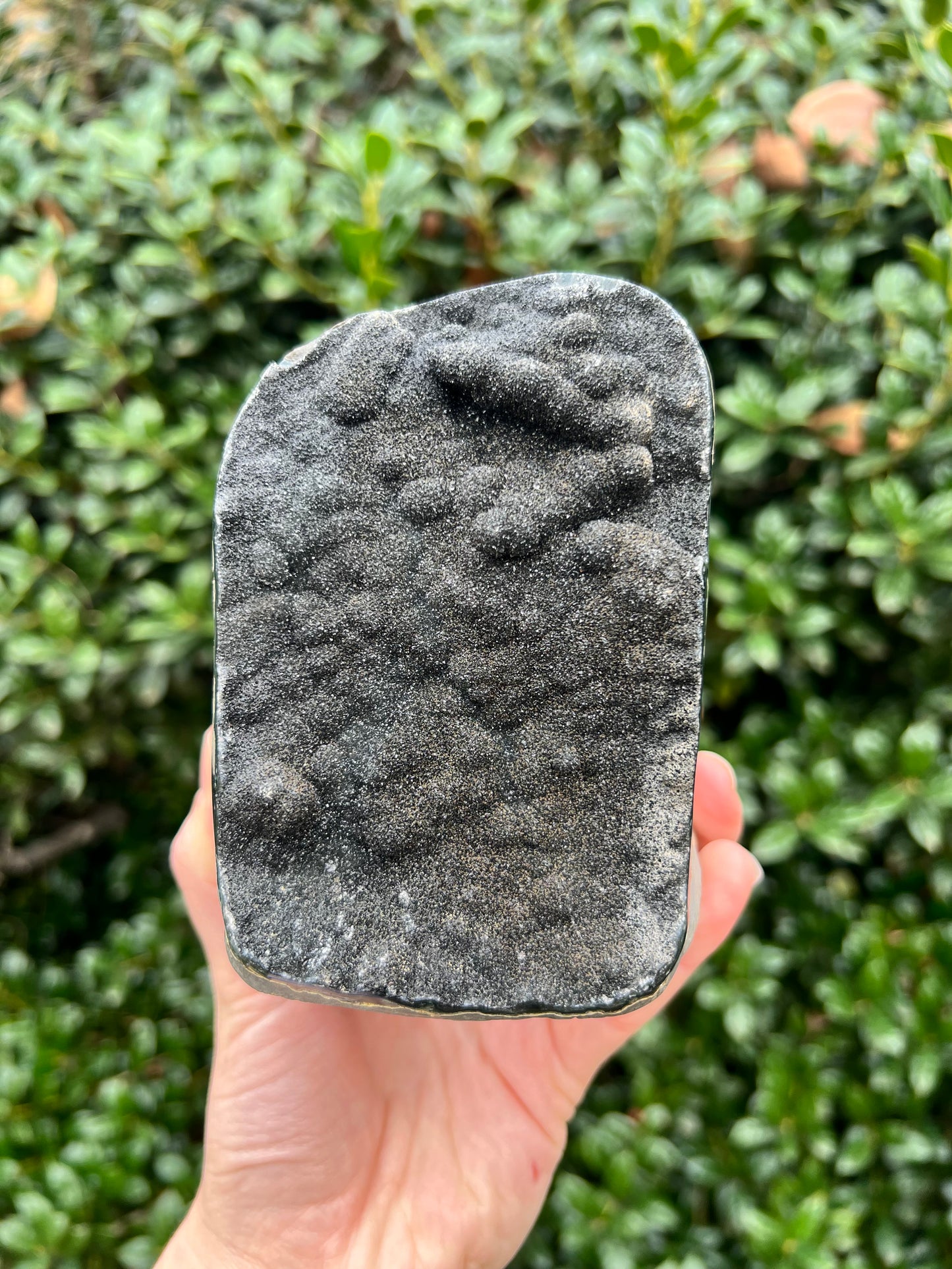 Black Amethyst Cut Bases