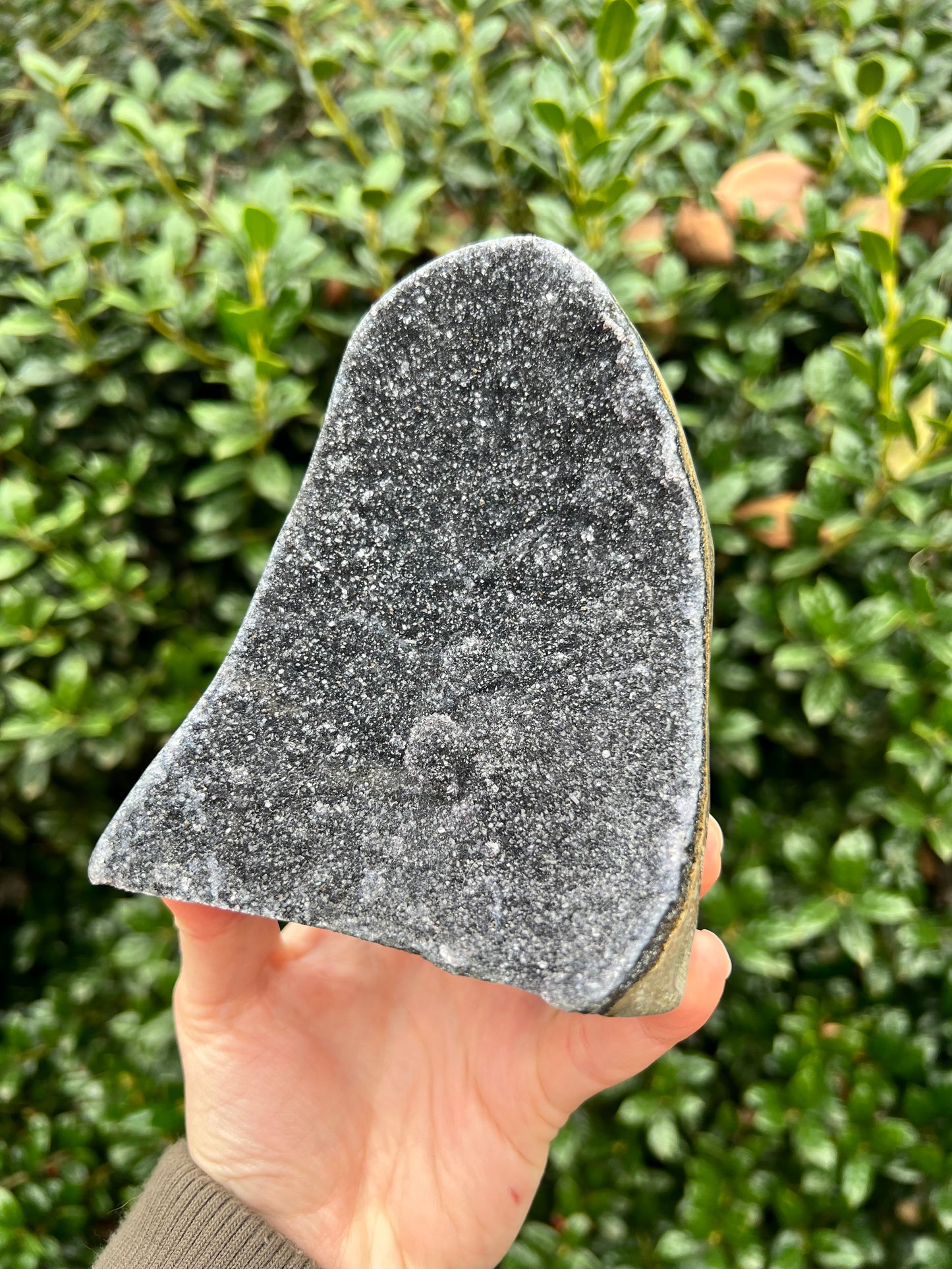 Black Amethyst Cut Bases