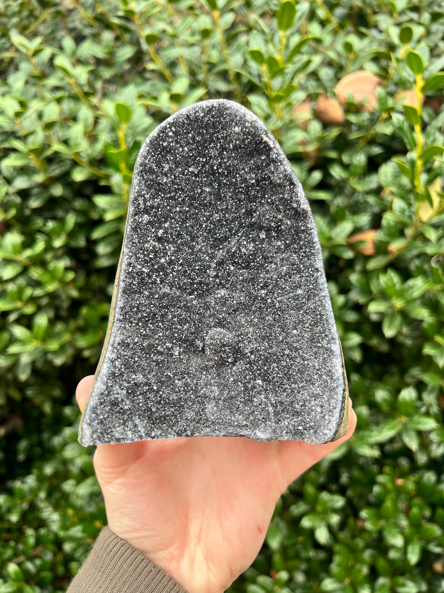 Black Amethyst Cut Bases